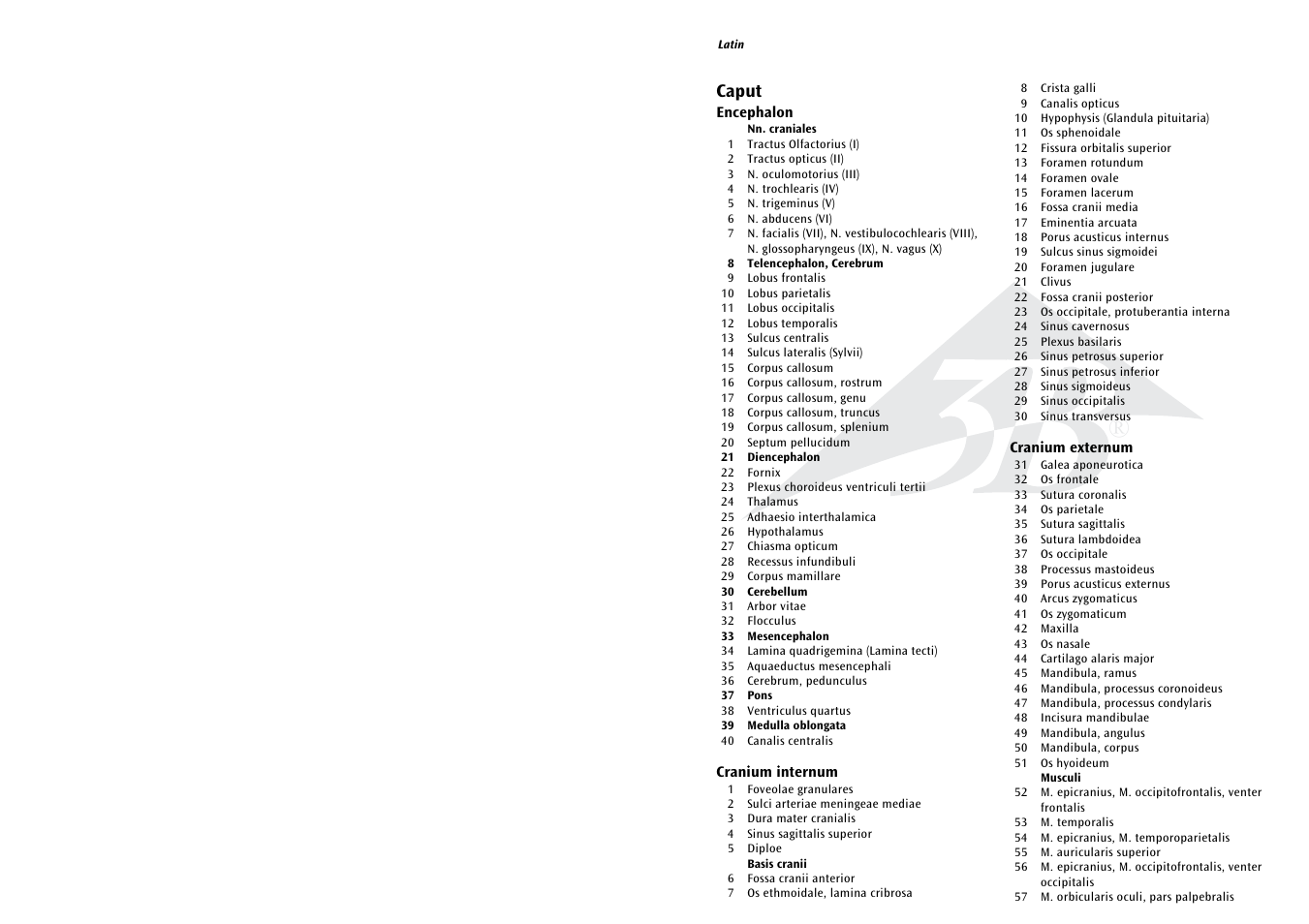 Caput | 3B Scientific 1__2 Life-Size Complete Female Muscular Figure, 21 part User Manual | Page 2 / 23