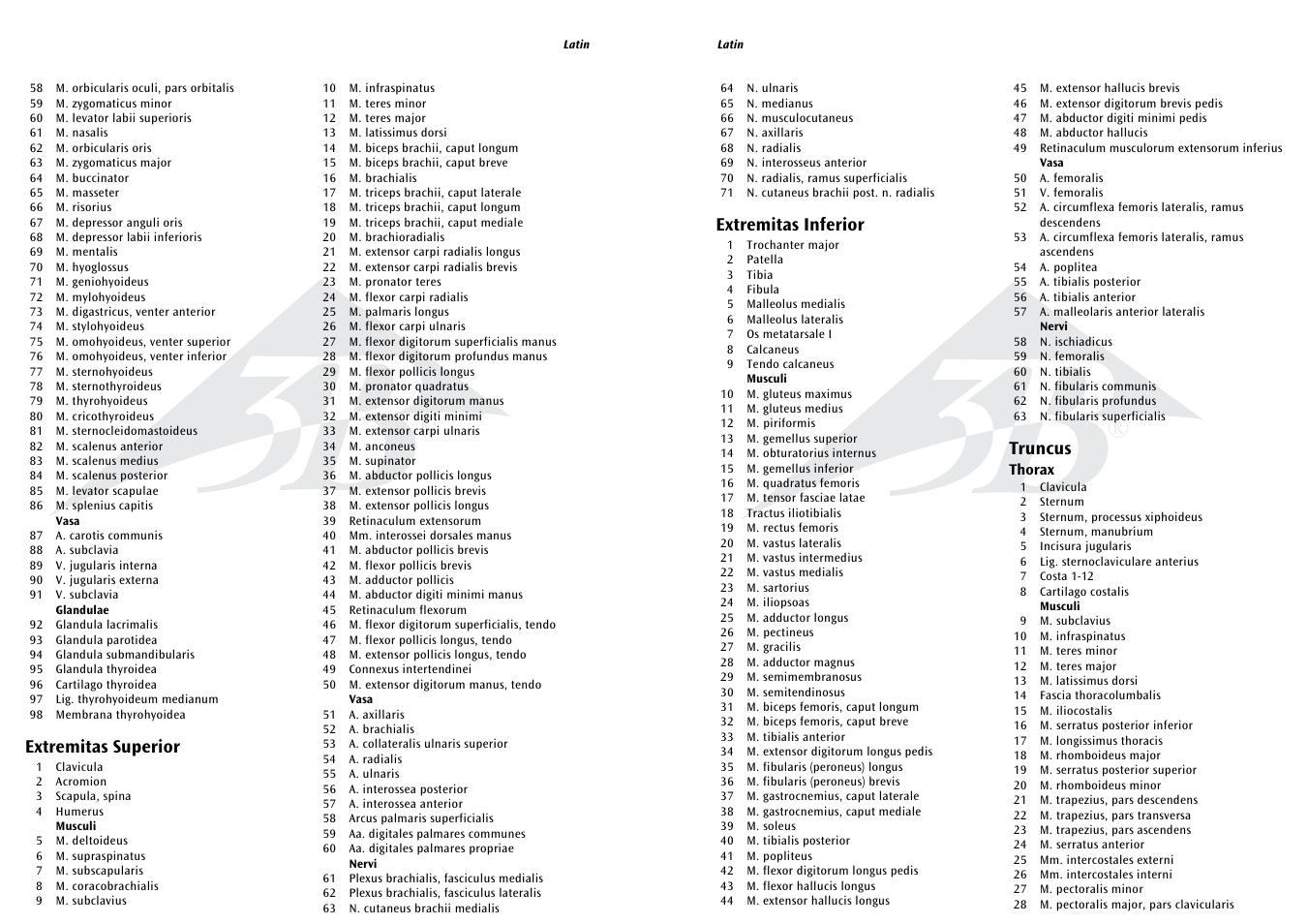 Extremitas inferior, Truncus, Extremitas superior | 3B Scientific 1__2 Life-Size Complete Female Muscular Figure, 21 part User Manual | Page 3 / 23