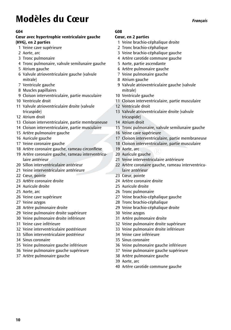 Name, Modèles du cœur | 3B Scientific Classic Heart with Bypass, 2 part User Manual | Page 10 / 32