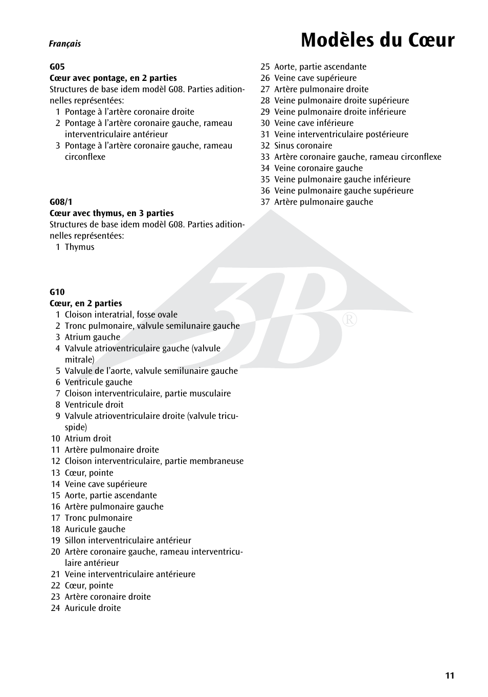 Name, Modèles du cœur | 3B Scientific Classic Heart with Bypass, 2 part User Manual | Page 11 / 32