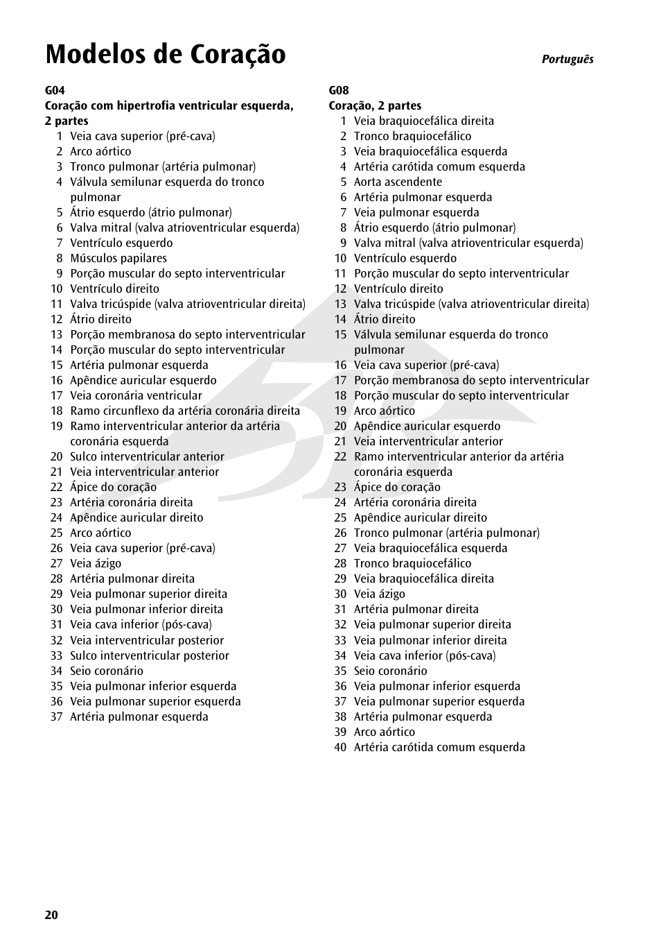 Name, Modelos de coração | 3B Scientific Classic Heart with Bypass, 2 part User Manual | Page 20 / 32