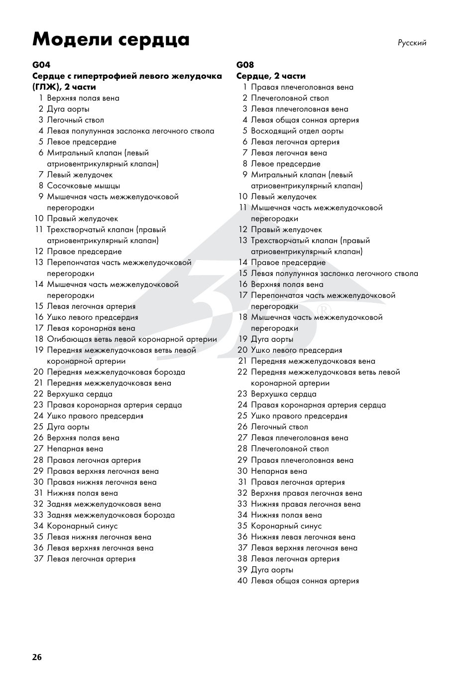 Модели сердца | 3B Scientific Classic Heart with Bypass, 2 part User Manual | Page 26 / 32