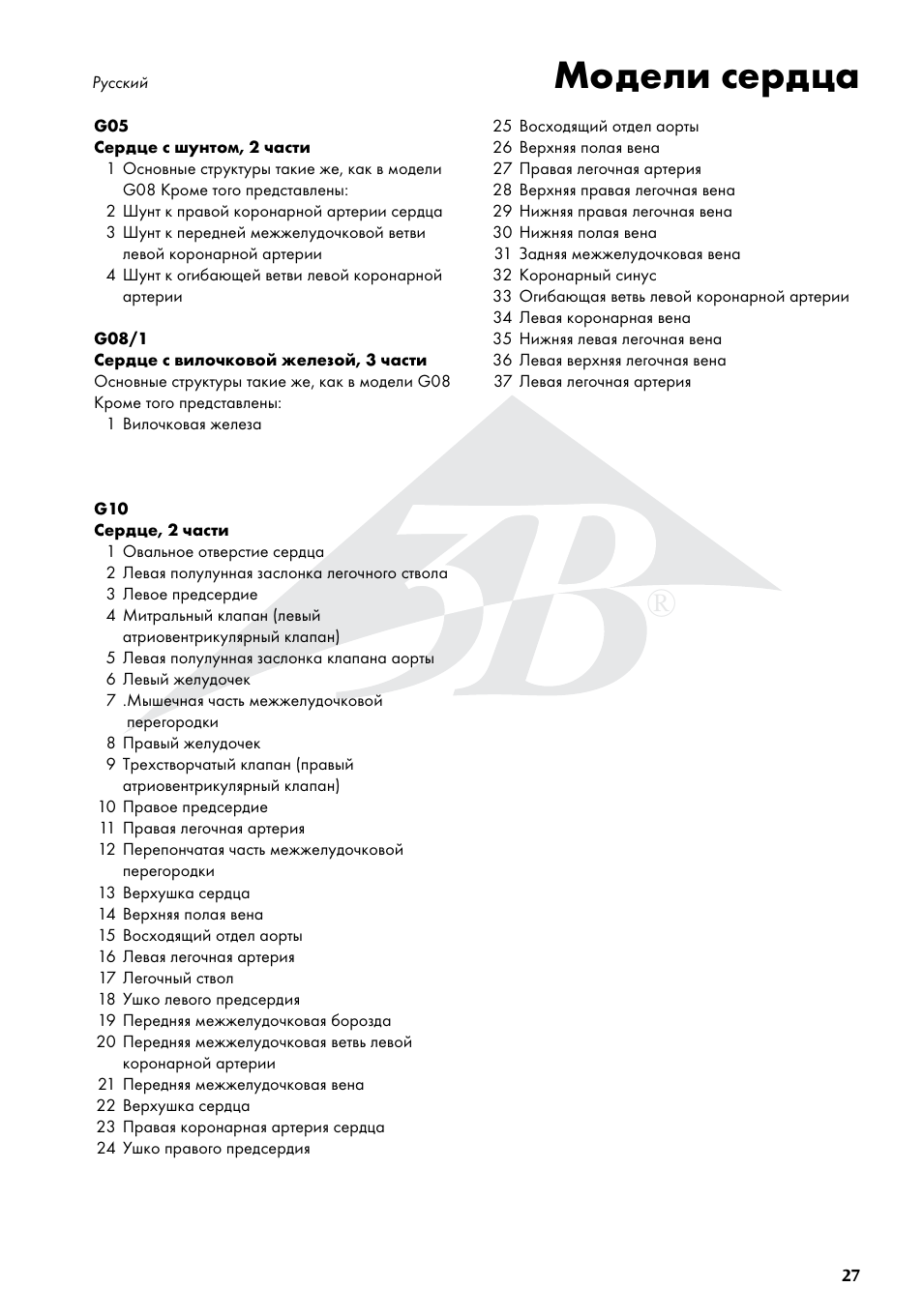 Модели сердца | 3B Scientific Classic Heart with Bypass, 2 part User Manual | Page 27 / 32