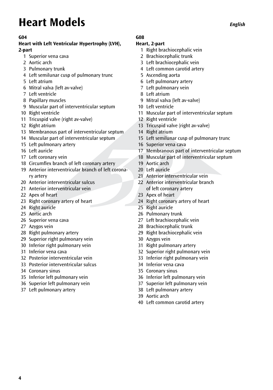 Name, Heart models | 3B Scientific Classic Heart with Bypass, 2 part User Manual | Page 4 / 32