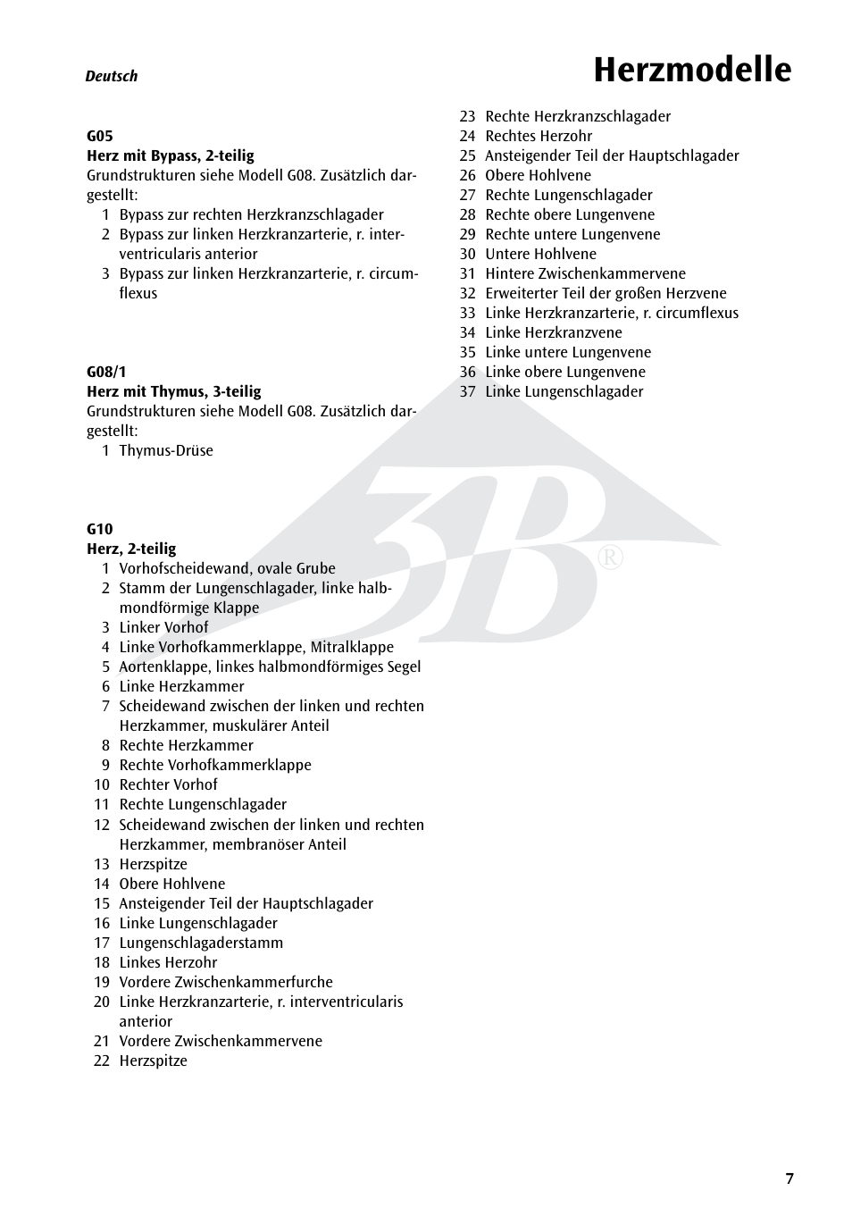 Name, Herzmodelle | 3B Scientific Classic Heart with Bypass, 2 part User Manual | Page 7 / 32