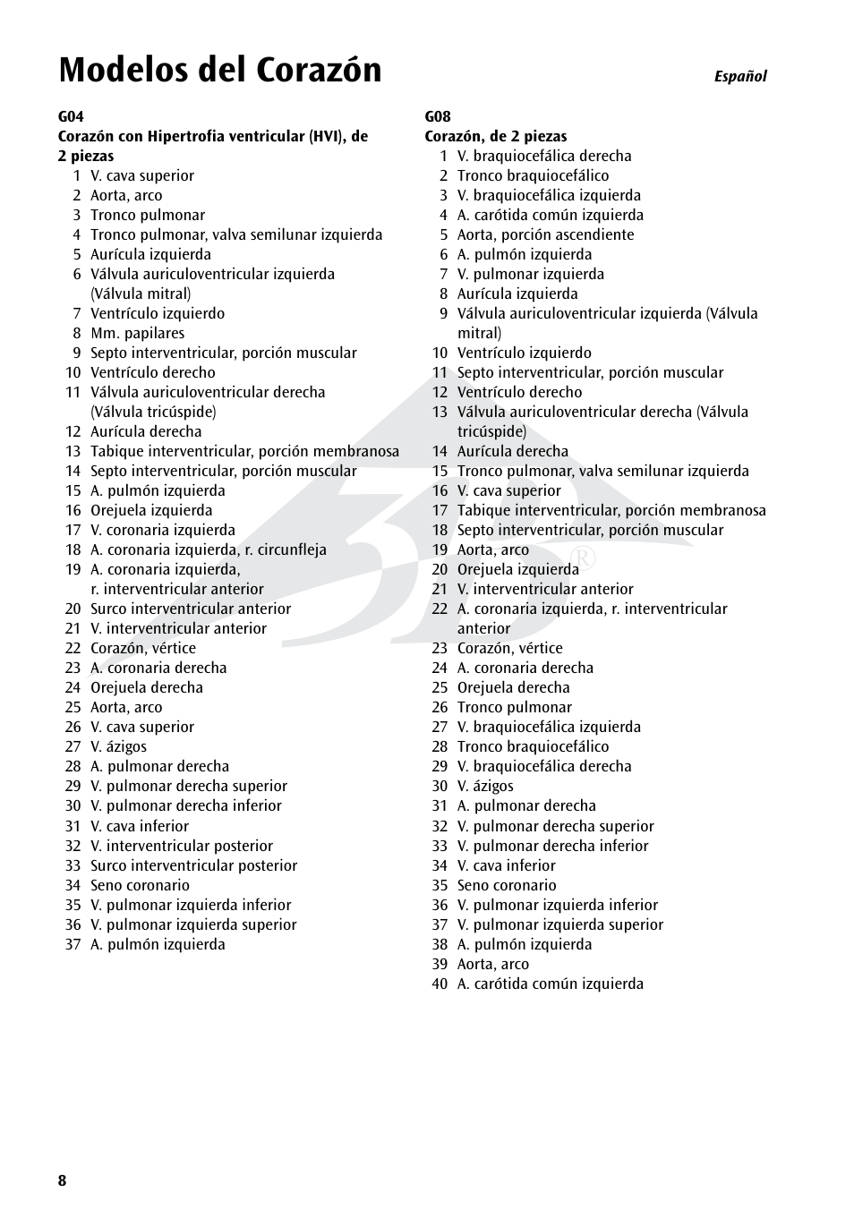 Name, Modelos del corazón | 3B Scientific Classic Heart with Bypass, 2 part User Manual | Page 8 / 32