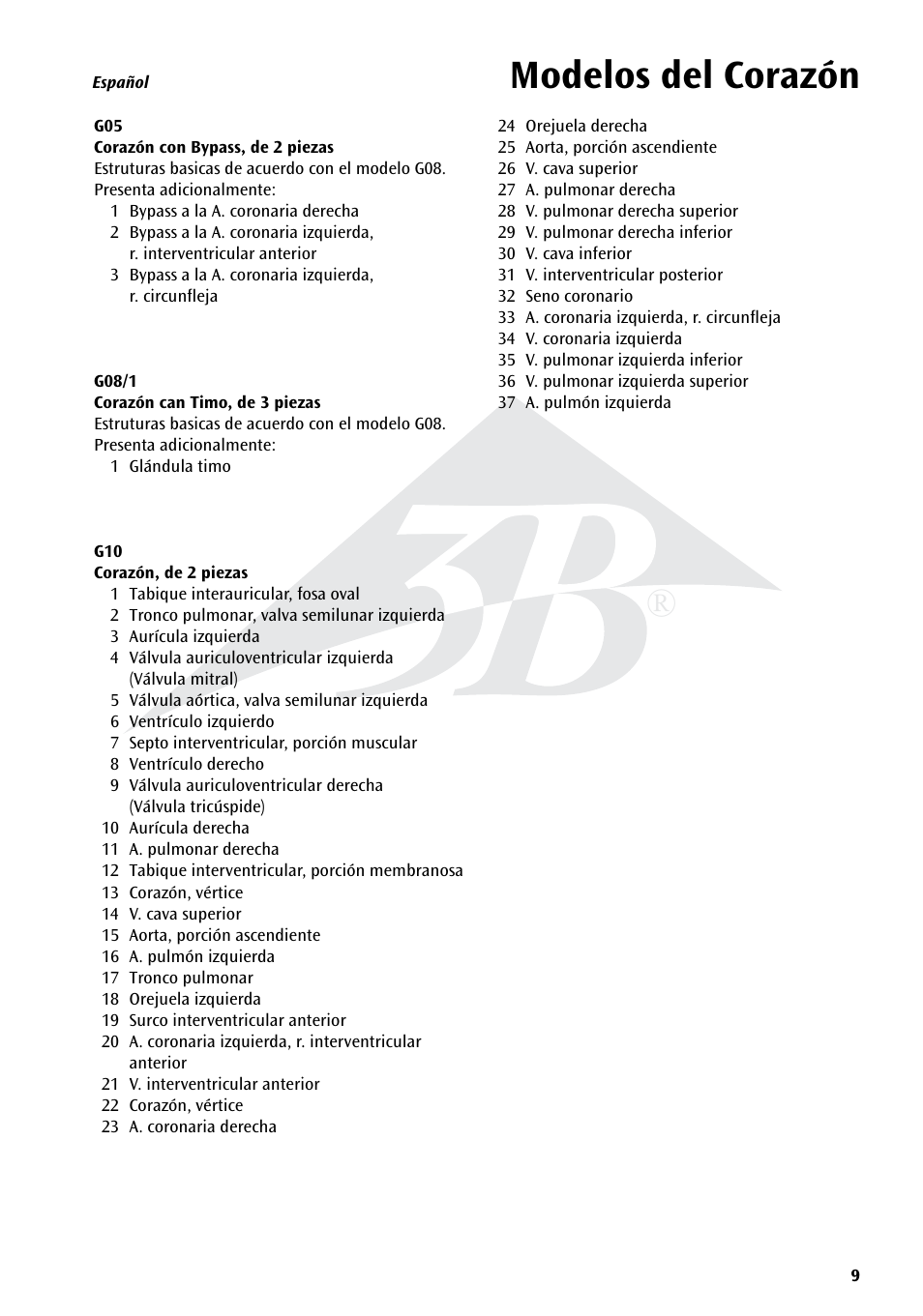 Name, Modelos del corazón | 3B Scientific Classic Heart with Bypass, 2 part User Manual | Page 9 / 32