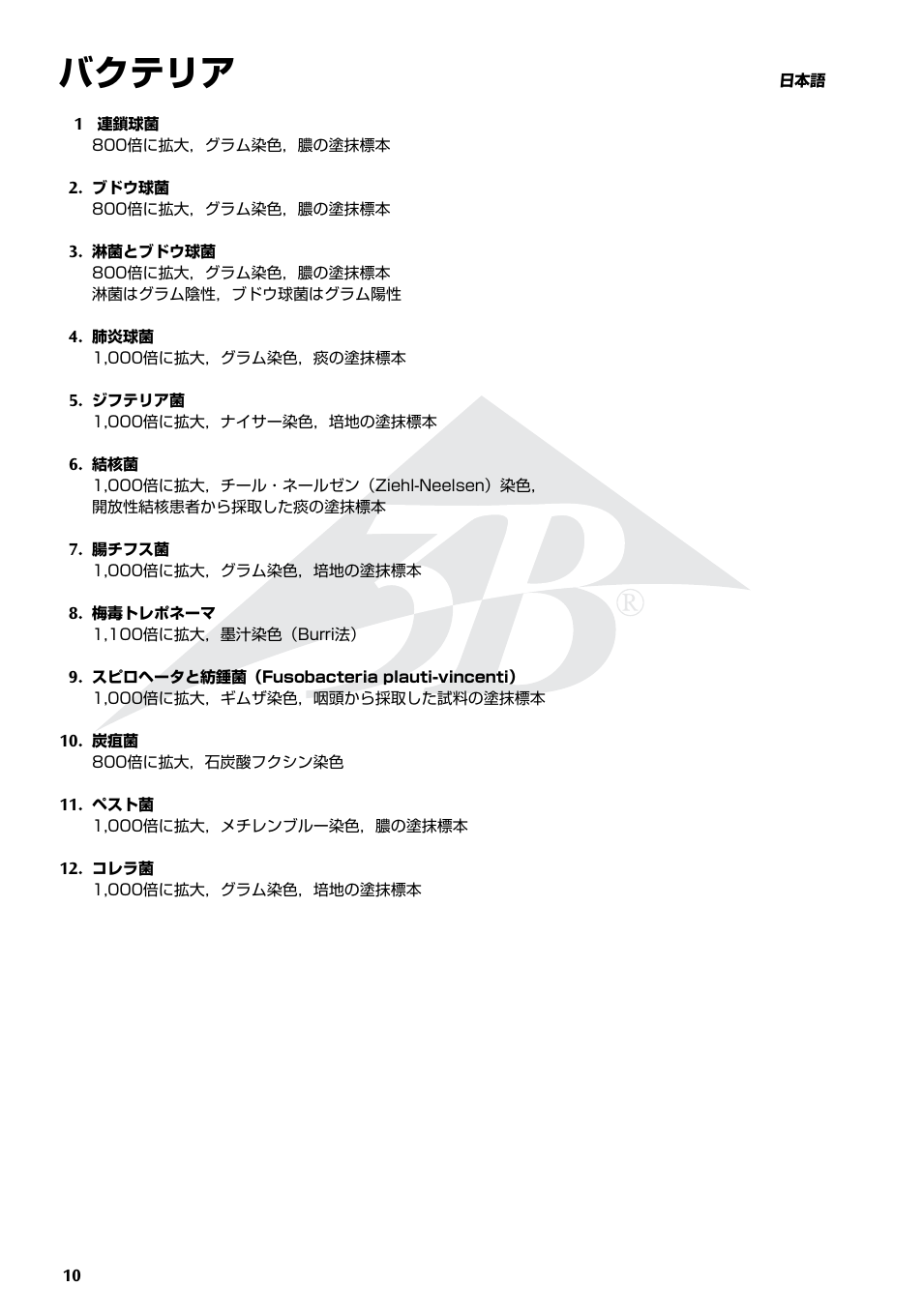 バクテリア | 3B Scientific Bacteria Chart User Manual | Page 10 / 16