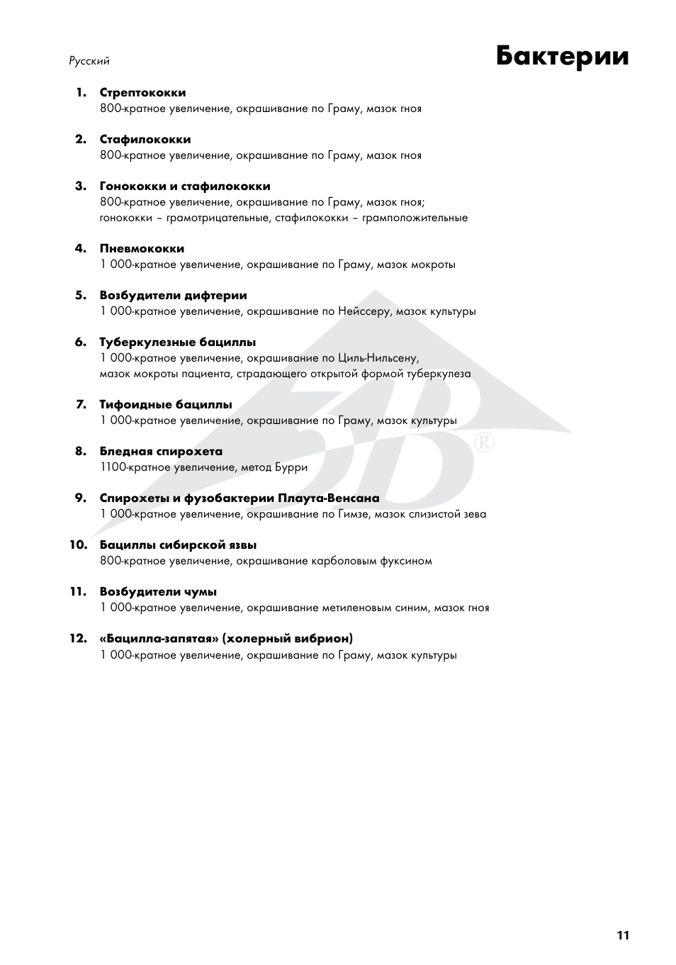 Бактерии | 3B Scientific Bacteria Chart User Manual | Page 11 / 16