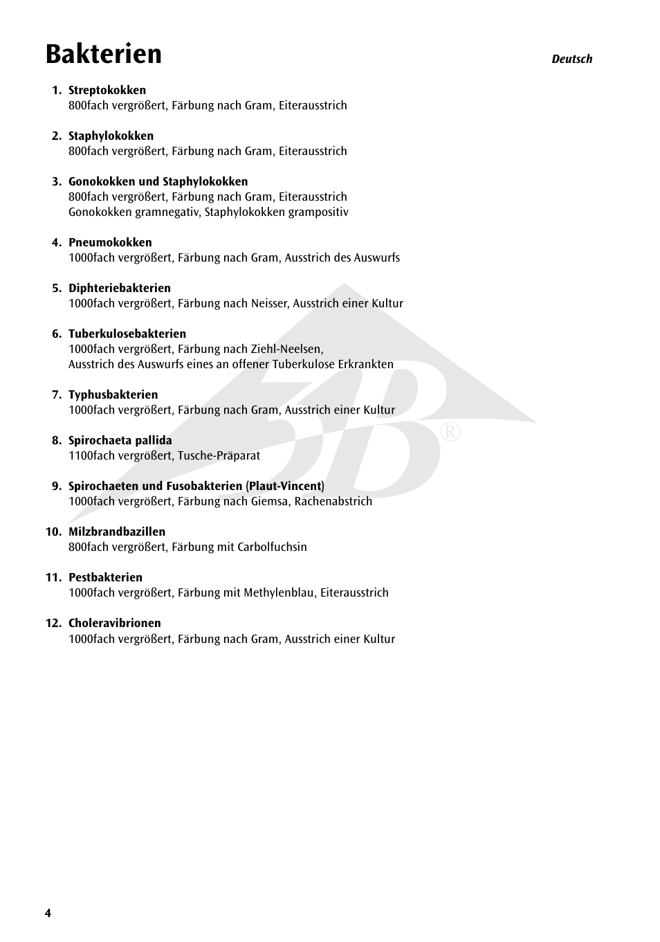 Bakterien | 3B Scientific Bacteria Chart User Manual | Page 4 / 16