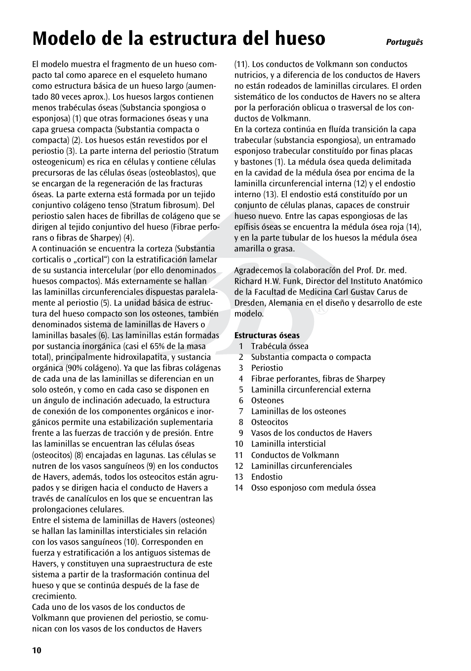 Modelo de la estructura del hueso | 3B Scientific 3B MICROanatomy™ Bone structure - 80 times enlarged User Manual | Page 10 / 16