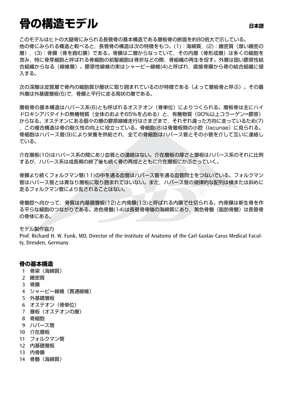 骨の構造モデル | 3B Scientific 3B MICROanatomy™ Bone structure - 80 times enlarged User Manual | Page 12 / 16