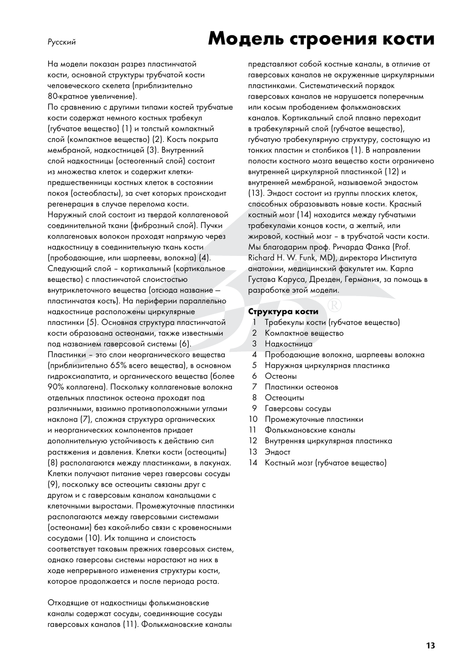 Модель строения кости | 3B Scientific 3B MICROanatomy™ Bone structure - 80 times enlarged User Manual | Page 13 / 16