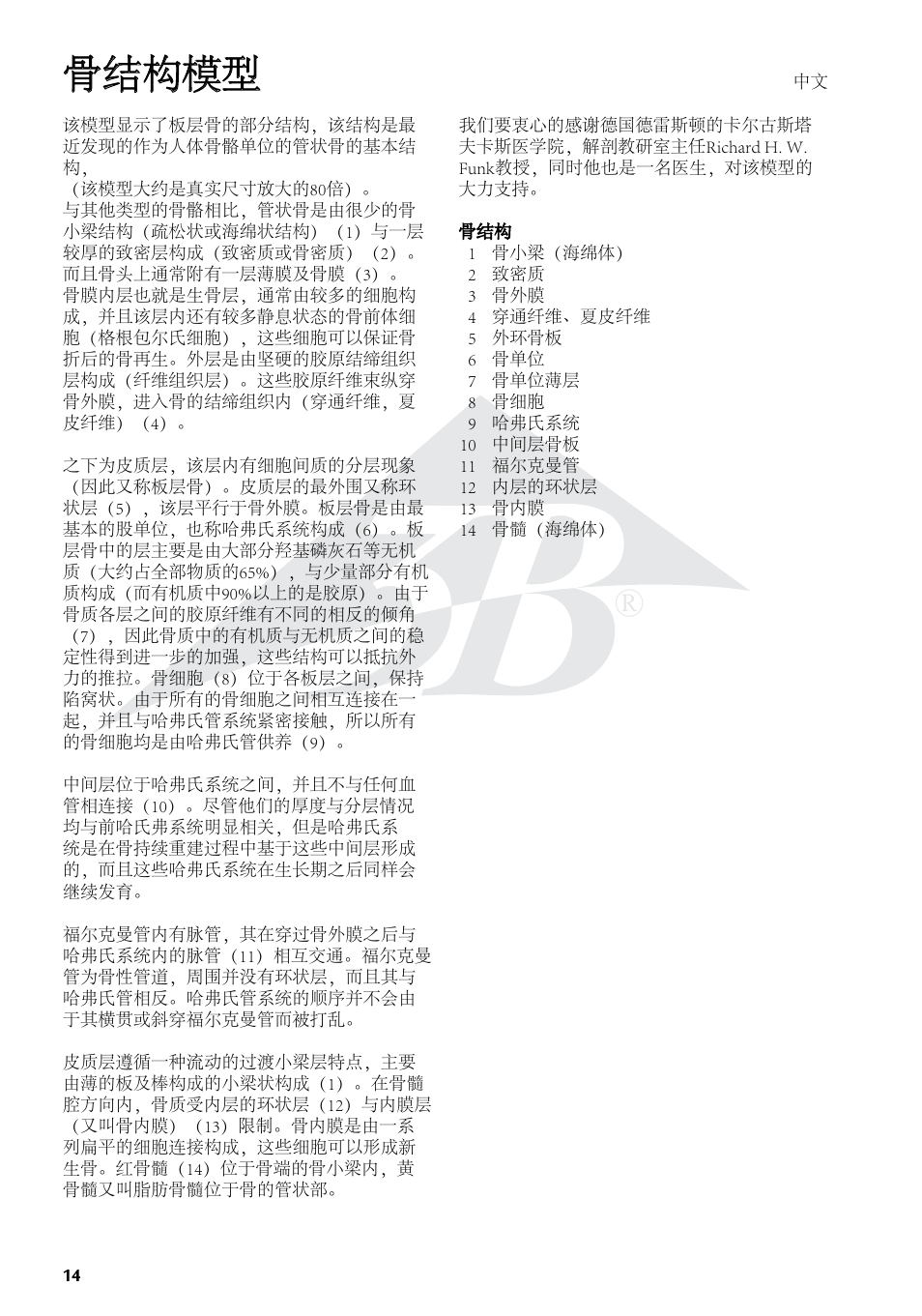 骨结构模型 | 3B Scientific 3B MICROanatomy™ Bone structure - 80 times enlarged User Manual | Page 14 / 16