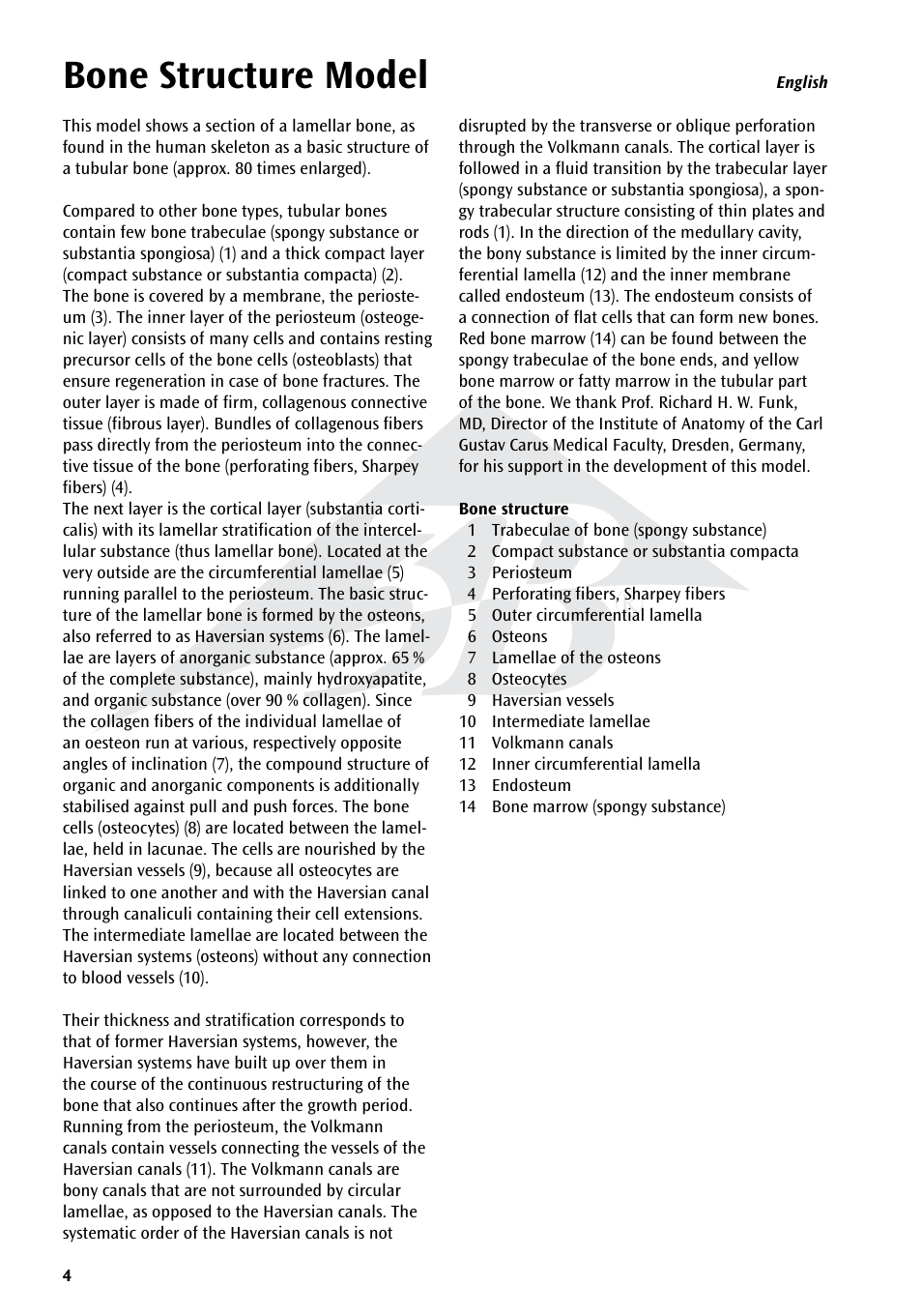 Bone structure model | 3B Scientific 3B MICROanatomy™ Bone structure - 80 times enlarged User Manual | Page 4 / 16