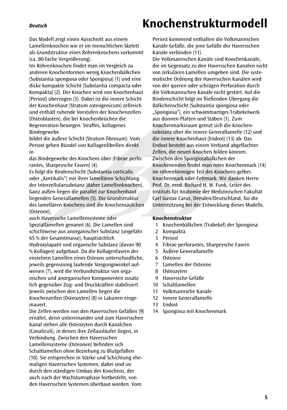 Knochenstrukturmodell | 3B Scientific 3B MICROanatomy™ Bone structure - 80 times enlarged User Manual | Page 5 / 16
