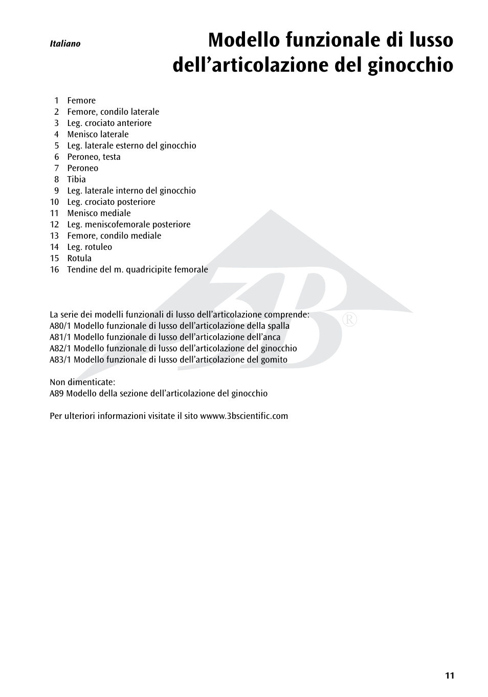 3B Scientific Deluxe Functional Knee Joint Model User Manual | Page 11 / 16