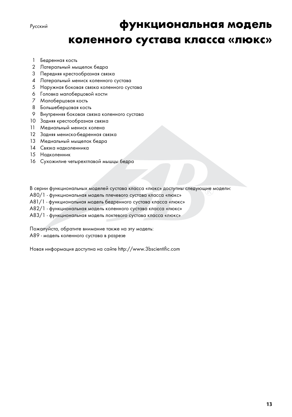 3B Scientific Deluxe Functional Knee Joint Model User Manual | Page 13 / 16