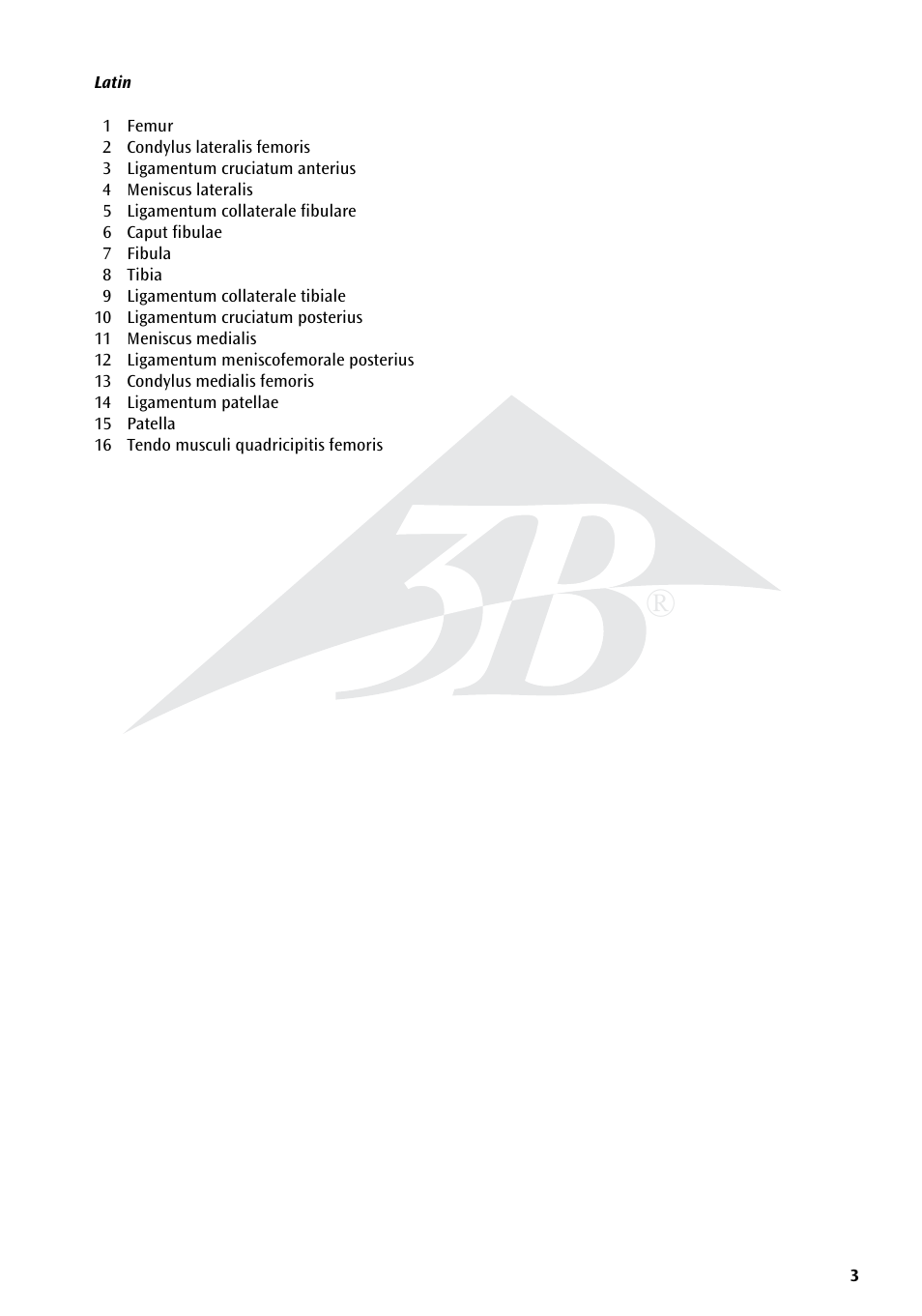 3B Scientific Deluxe Functional Knee Joint Model User Manual | Page 3 / 16