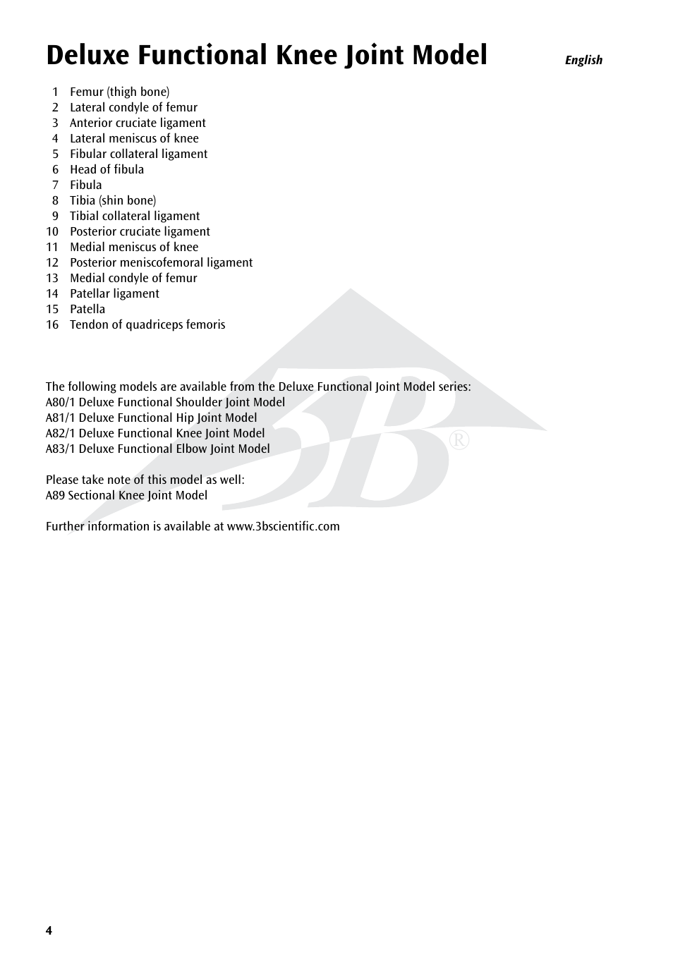 Deluxe functional knee joint model | 3B Scientific Deluxe Functional Knee Joint Model User Manual | Page 4 / 16