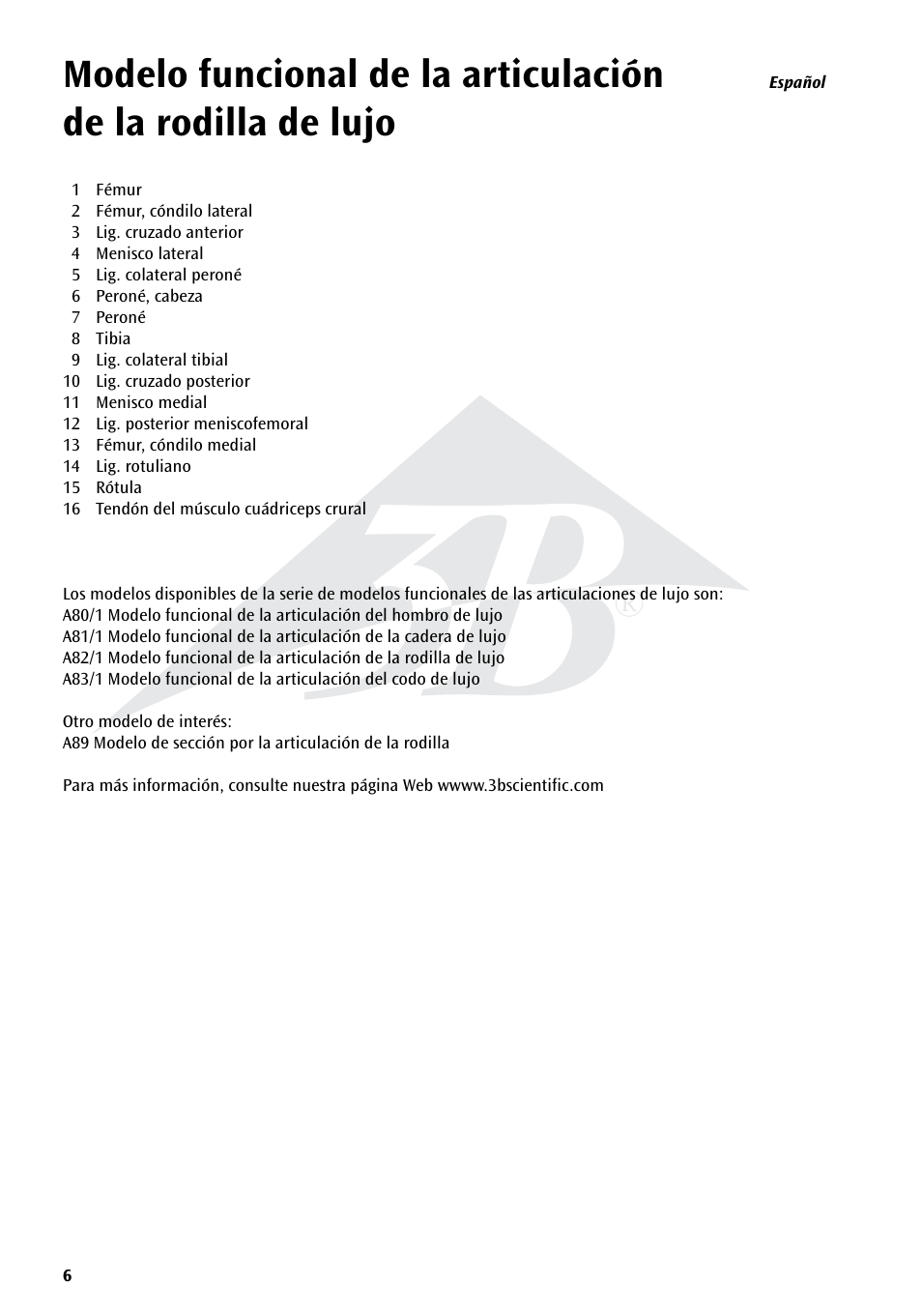 3B Scientific Deluxe Functional Knee Joint Model User Manual | Page 6 / 16