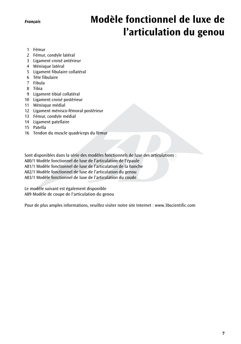 3B Scientific Deluxe Functional Knee Joint Model User Manual | Page 7 / 16