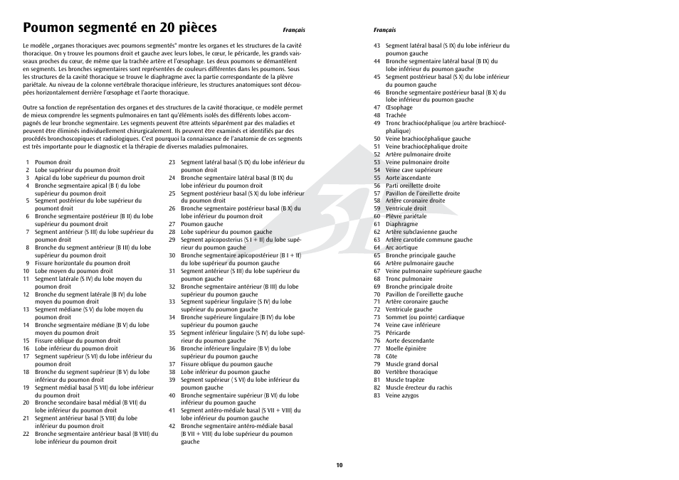 Poumon segmenté en 20 pièces | 3B Scientific Segmented Lung User Manual | Page 10 / 52