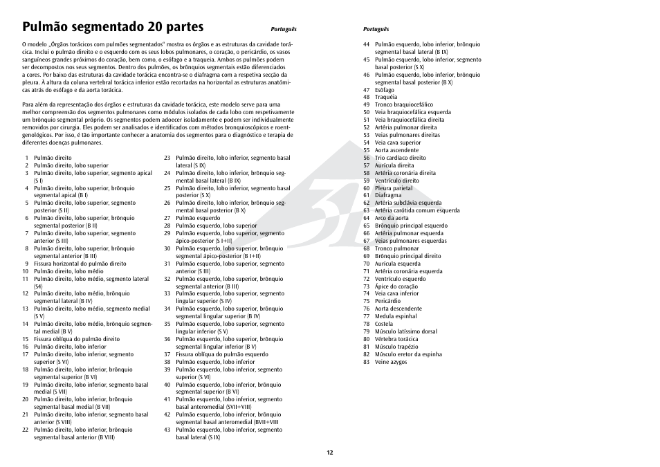 Pulmão segmentado 20 partes | 3B Scientific Segmented Lung User Manual | Page 12 / 52