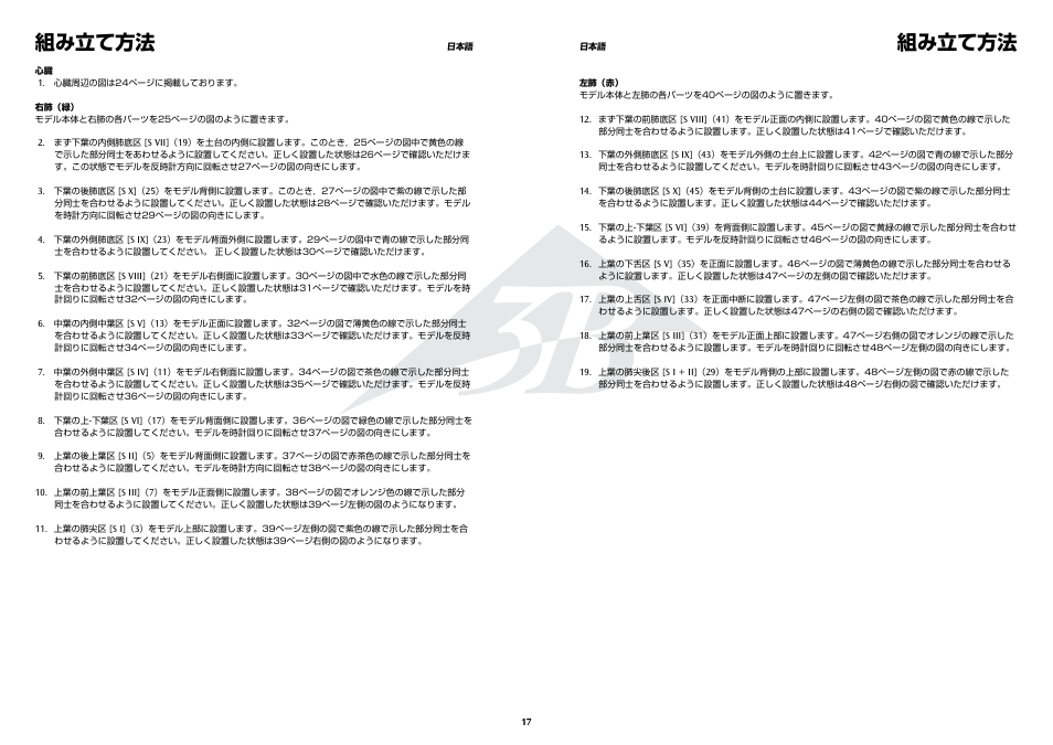 組み立て方法 | 3B Scientific Segmented Lung User Manual | Page 17 / 52