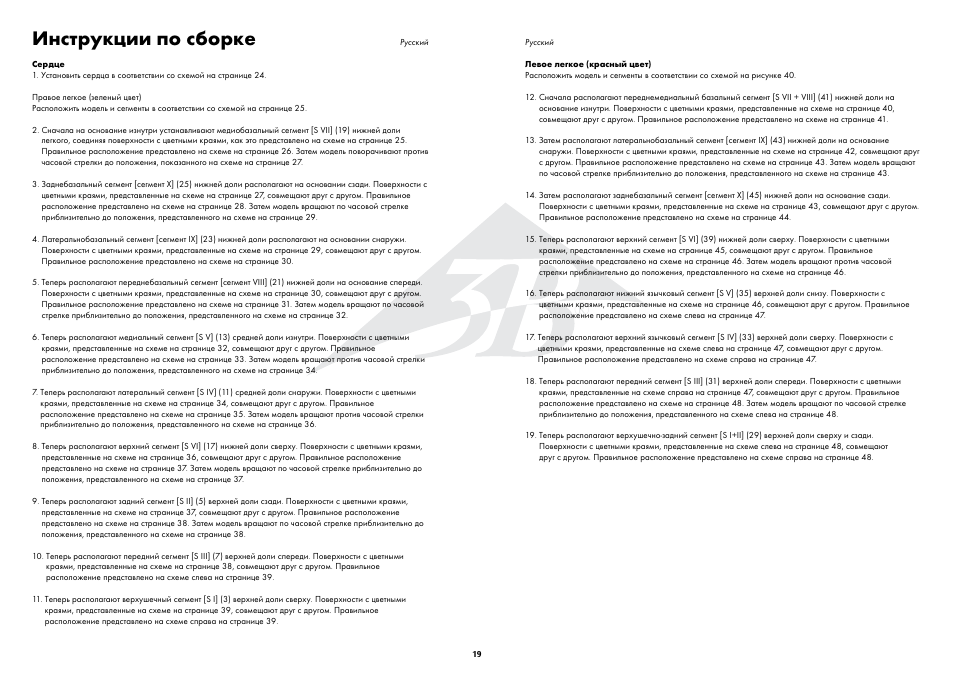 Инструкции по сборке | 3B Scientific Segmented Lung User Manual | Page 19 / 52