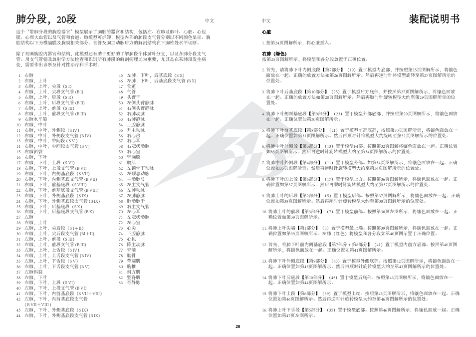 肺分段，20段, 装配说明书 | 3B Scientific Segmented Lung User Manual | Page 20 / 52