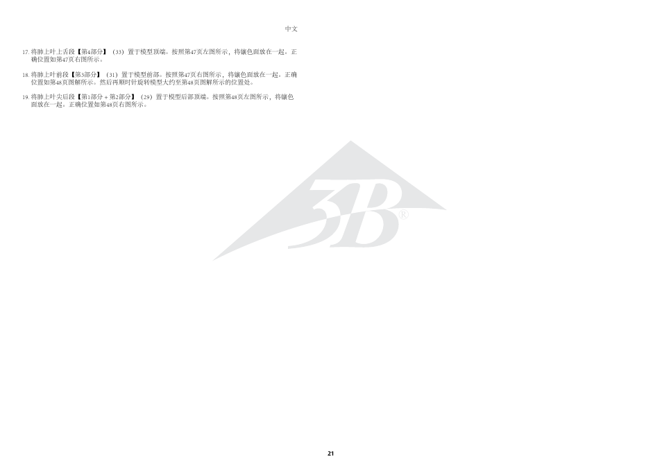3B Scientific Segmented Lung User Manual | Page 21 / 52