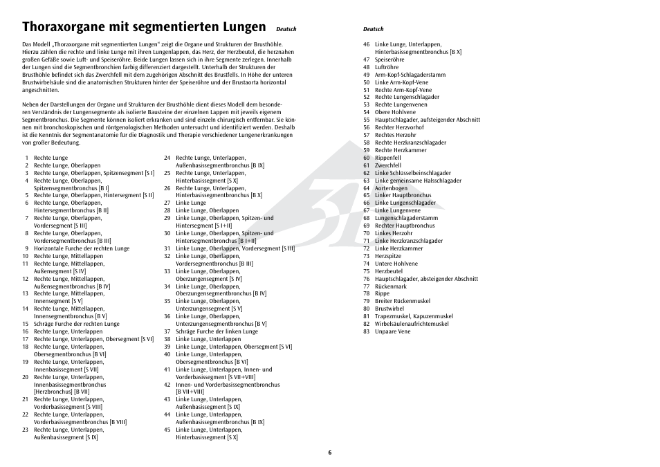 Thoraxorgane mit segmentierten lungen | 3B Scientific Segmented Lung User Manual | Page 6 / 52