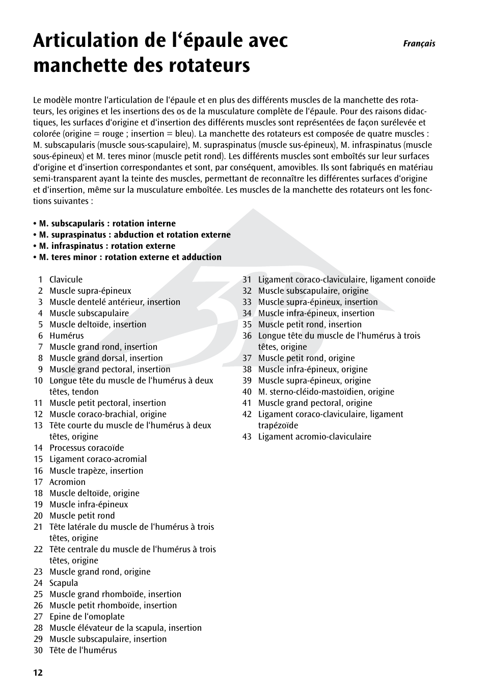 3B Scientific Shoulder Joint with Rotator Cuff - 5 part User Manual | Page 12 / 20