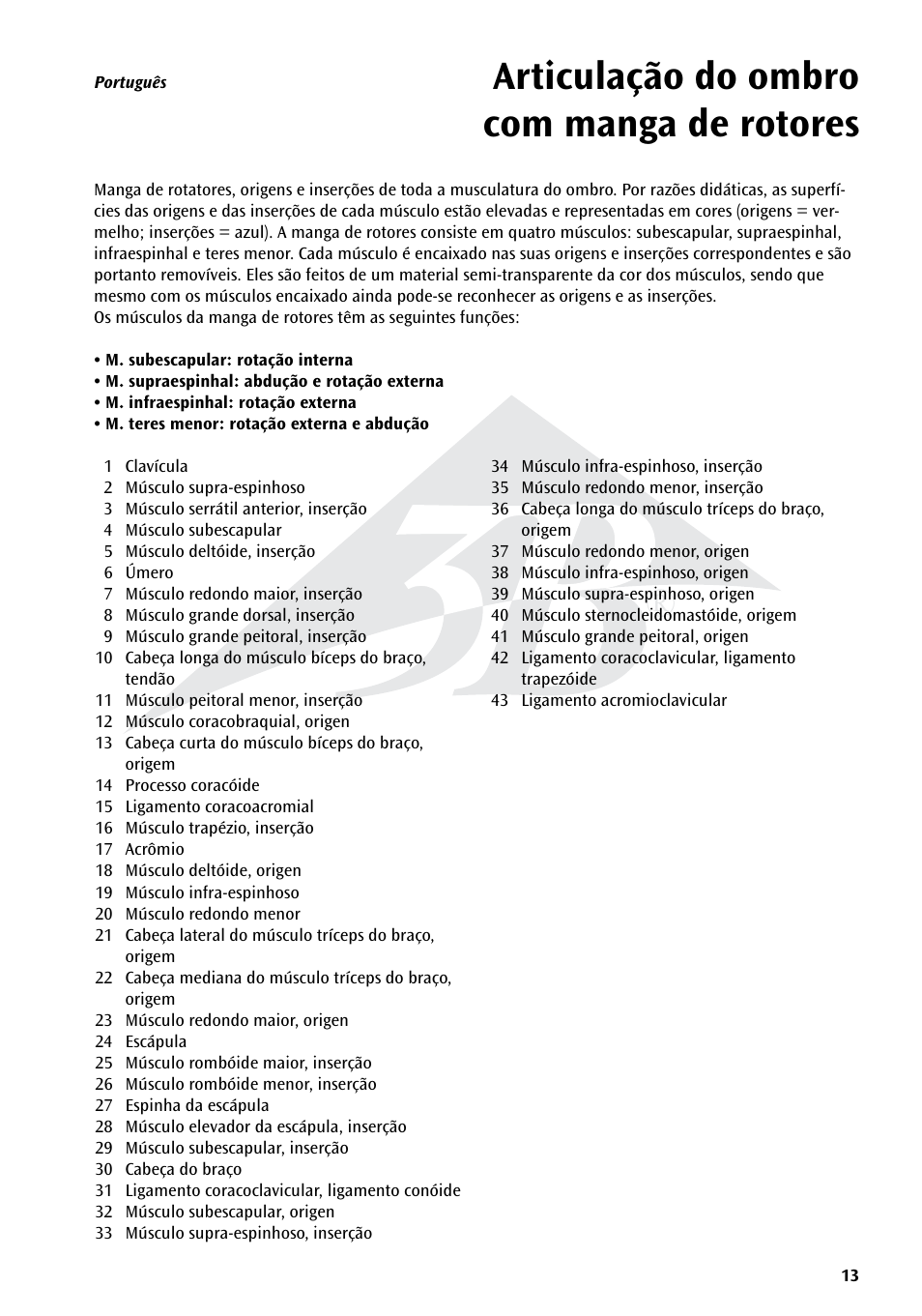 Name articulação do ombro com manga de rotores | 3B Scientific Shoulder Joint with Rotator Cuff - 5 part User Manual | Page 13 / 20