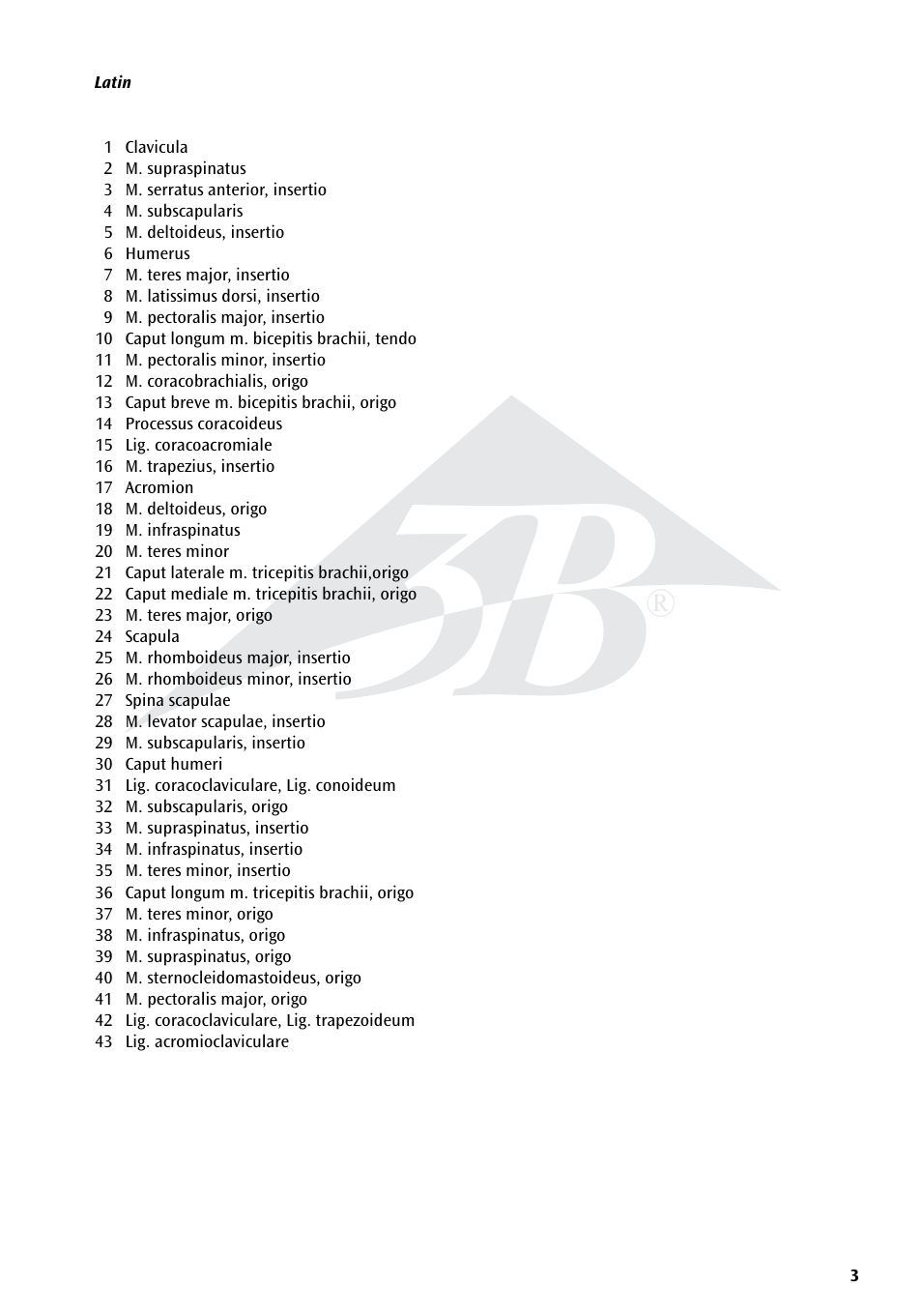 3B Scientific Shoulder Joint with Rotator Cuff - 5 part User Manual | Page 3 / 20