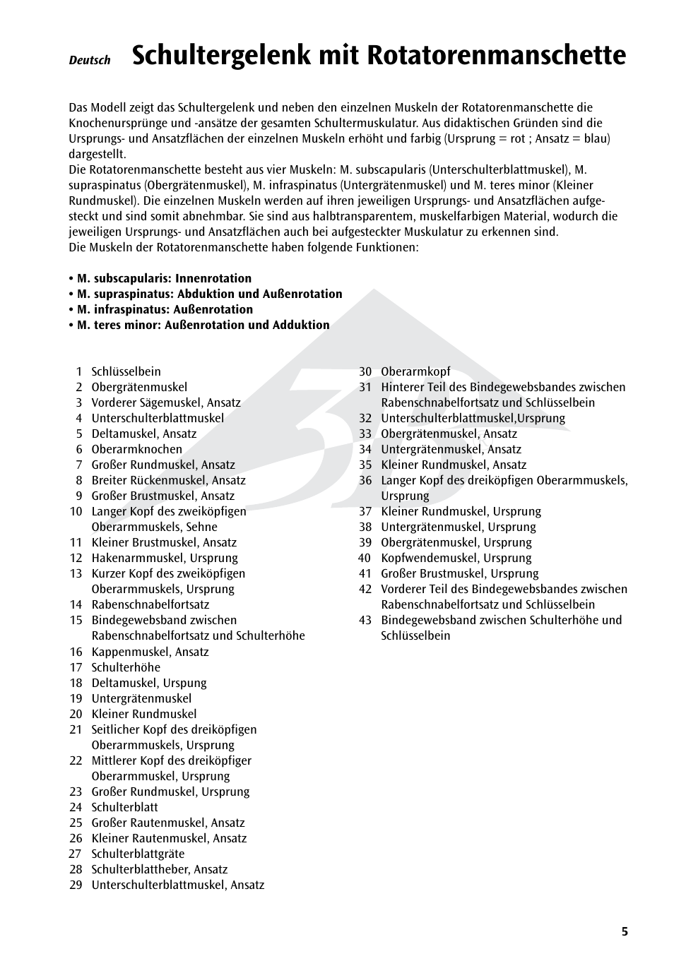 Schultergelenk mit rotatorenmanschette | 3B Scientific Shoulder Joint with Rotator Cuff - 5 part User Manual | Page 5 / 20