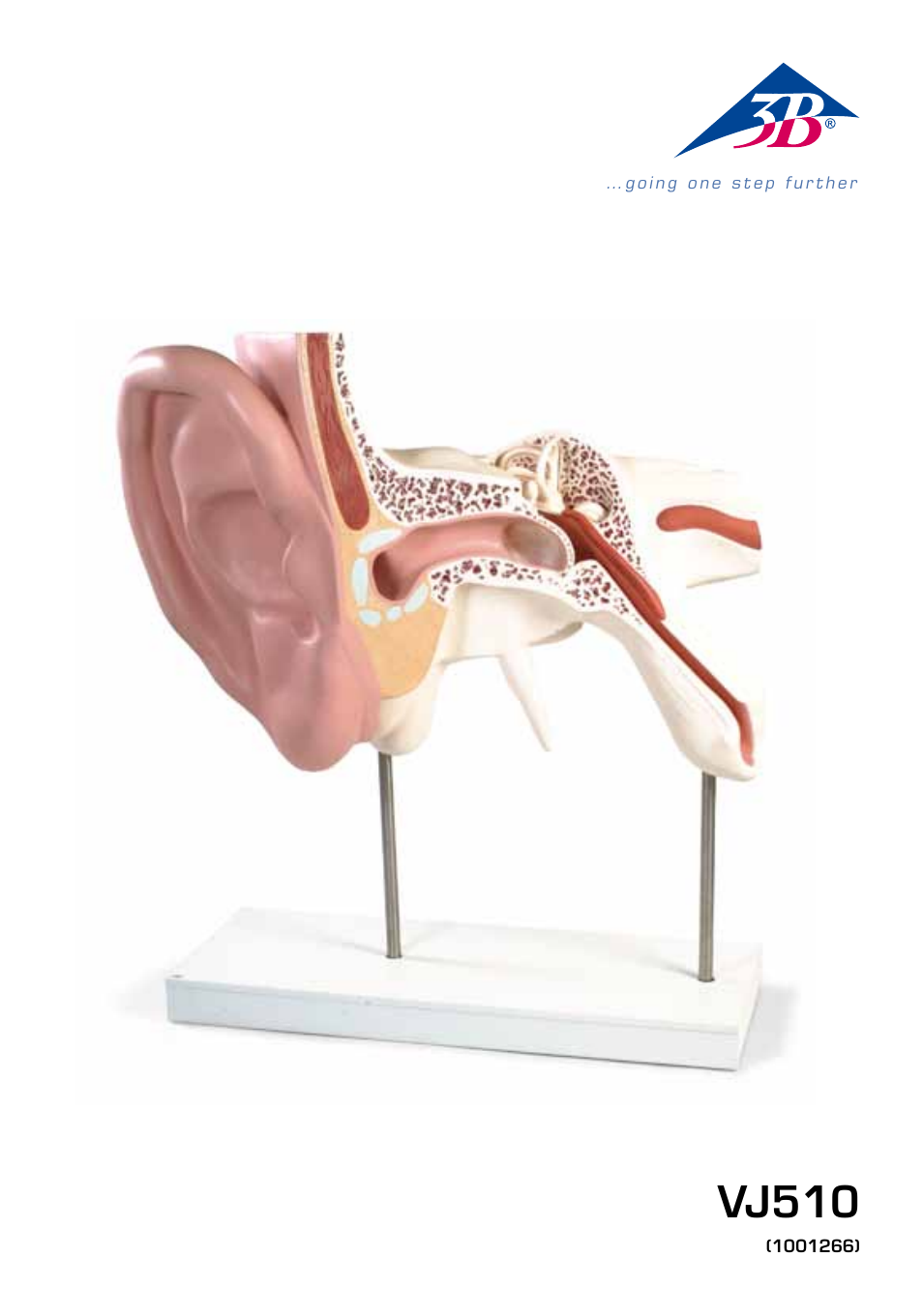 3B Scientific World's Largest Ear Model, 15 times full-size, 3 part User Manual | 16 pages