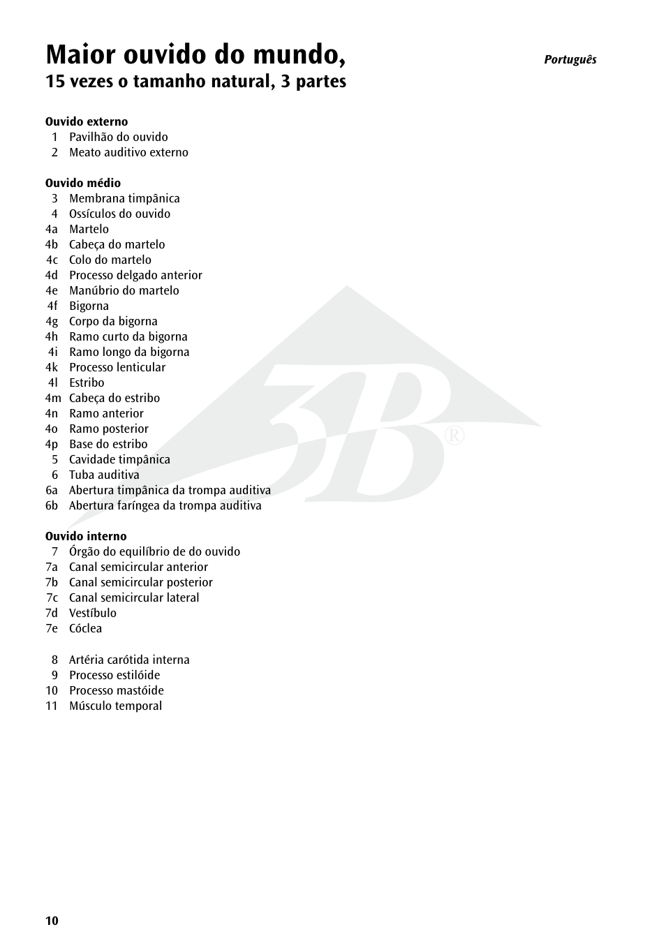 Maior ouvido do mundo | 3B Scientific World's Largest Ear Model, 15 times full-size, 3 part User Manual | Page 10 / 16