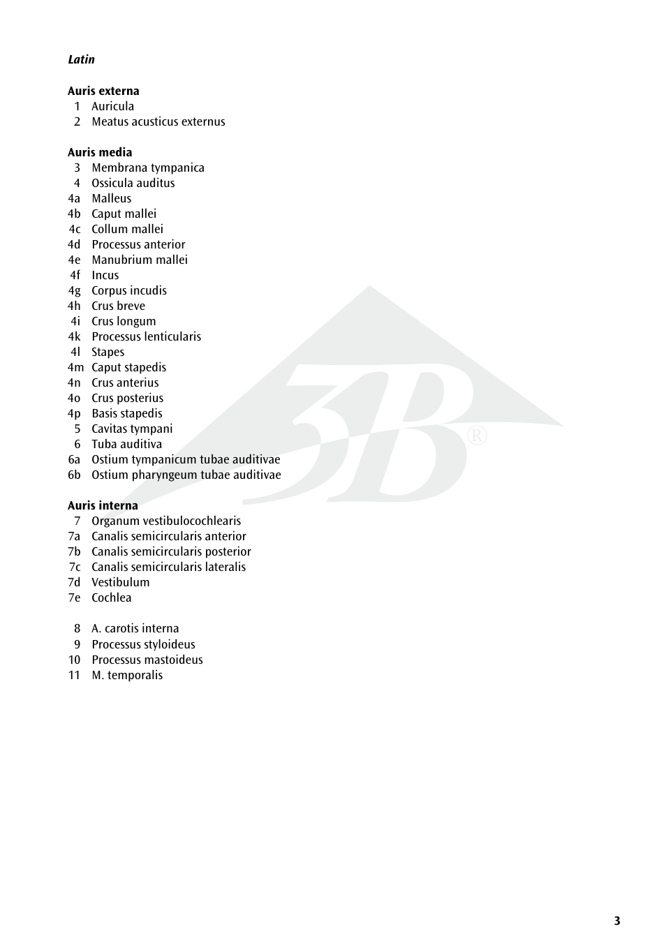 3B Scientific World's Largest Ear Model, 15 times full-size, 3 part User Manual | Page 3 / 16