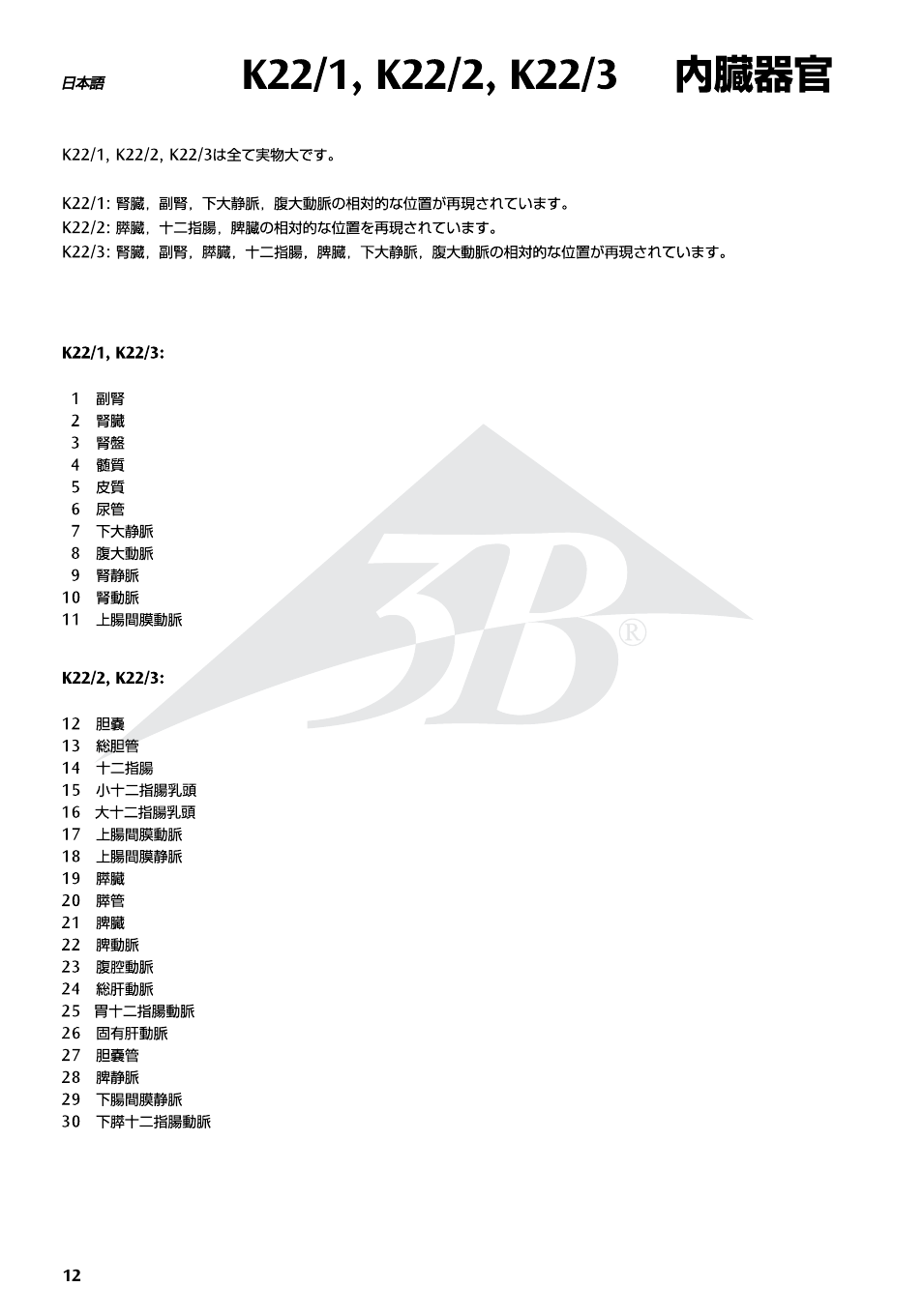 3B Scientific Kidneys with Rear Organs of the Upper Abdomen - 3 Part User Manual | Page 12 / 16