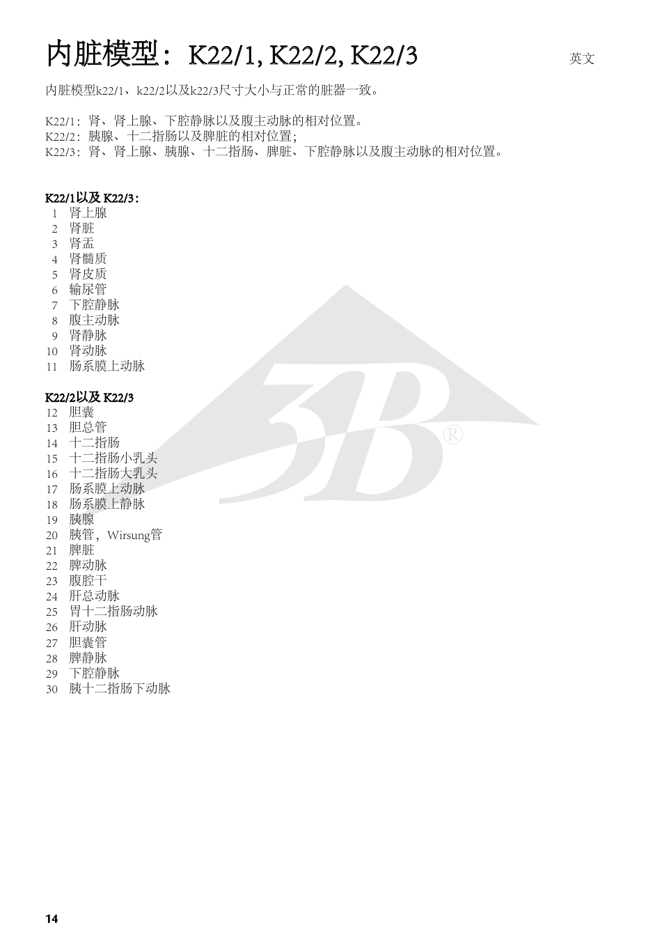 3B Scientific Kidneys with Rear Organs of the Upper Abdomen - 3 Part User Manual | Page 14 / 16