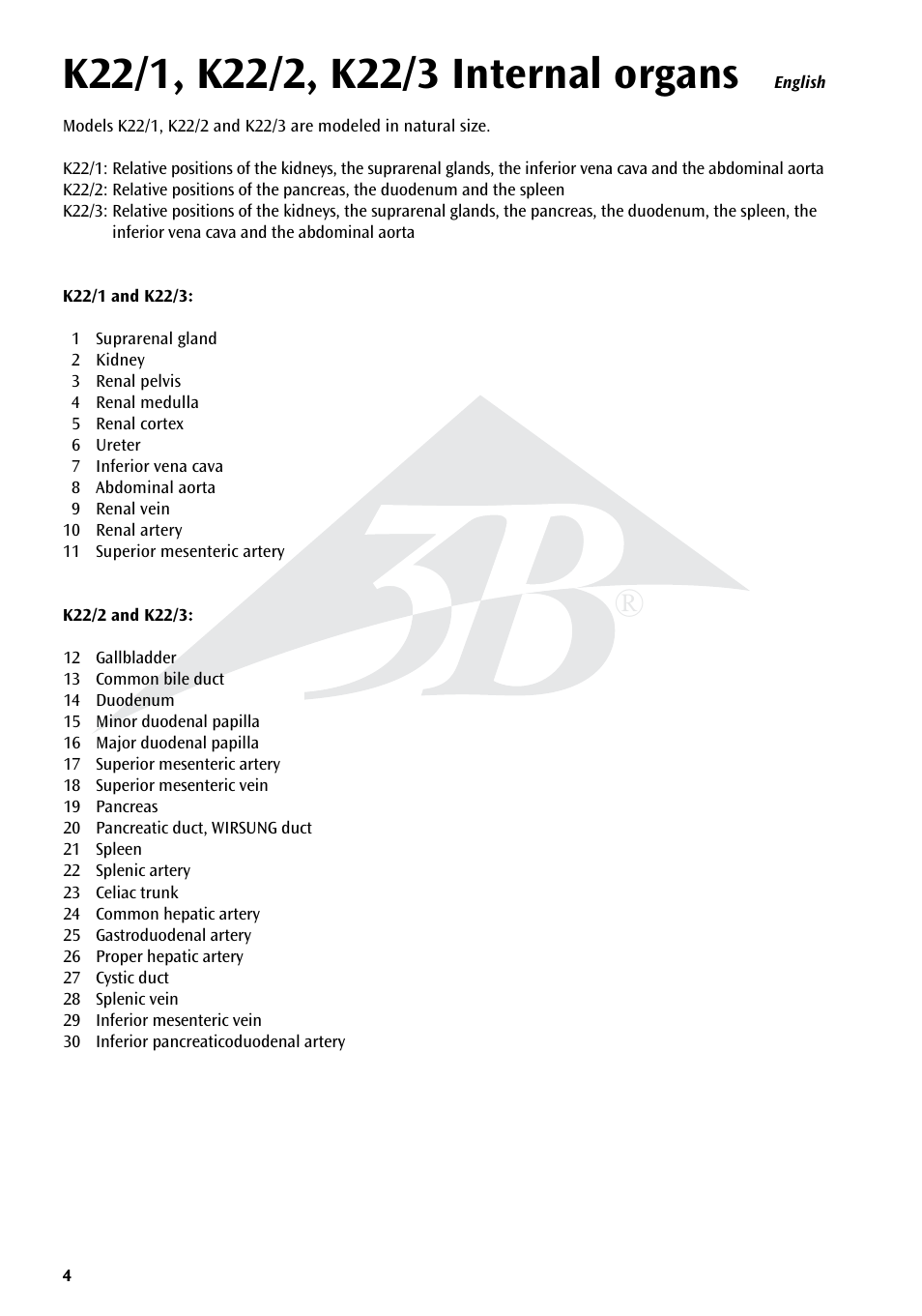 3B Scientific Kidneys with Rear Organs of the Upper Abdomen - 3 Part User Manual | Page 4 / 16