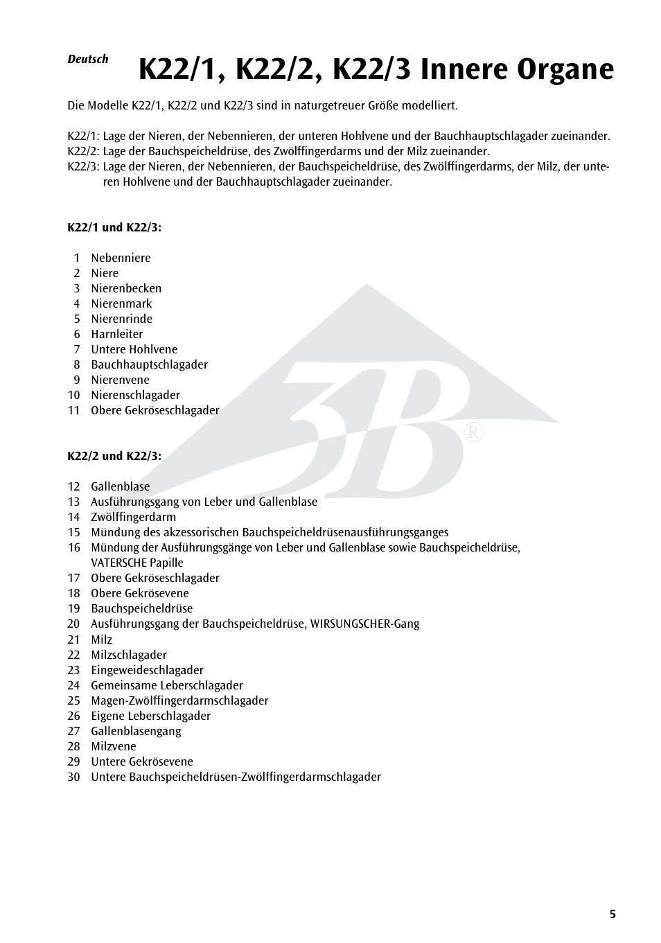 3B Scientific Kidneys with Rear Organs of the Upper Abdomen - 3 Part User Manual | Page 5 / 16