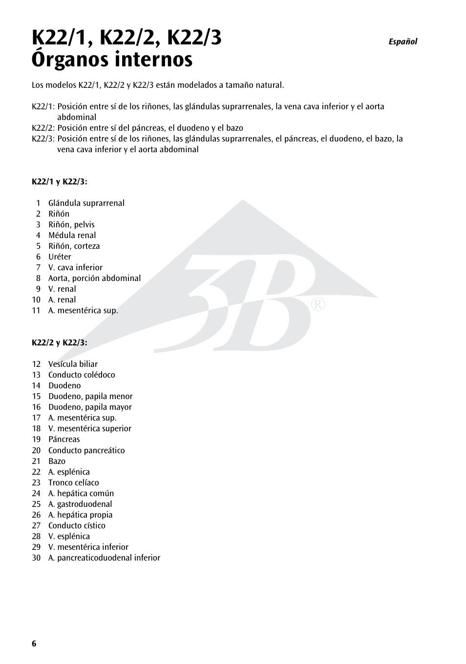 3B Scientific Kidneys with Rear Organs of the Upper Abdomen - 3 Part User Manual | Page 6 / 16