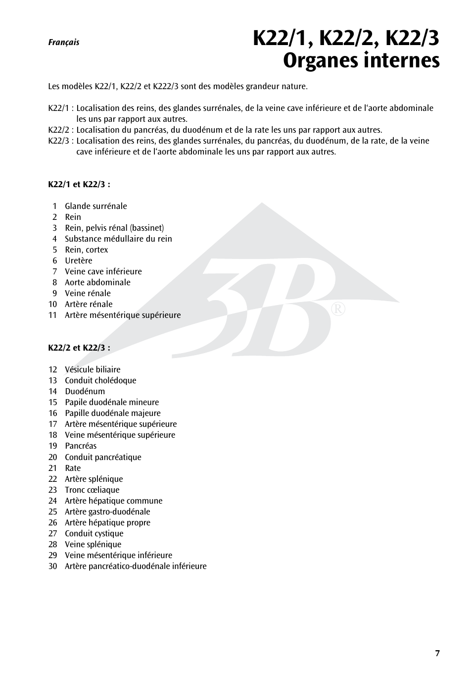 3B Scientific Kidneys with Rear Organs of the Upper Abdomen - 3 Part User Manual | Page 7 / 16