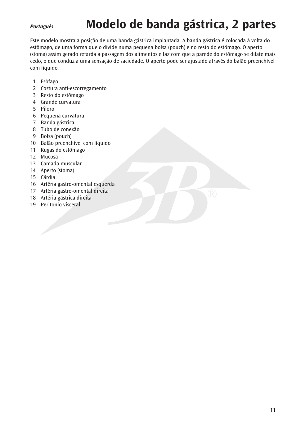 Modelo de banda gástrica, 2 partes | 3B Scientific Gastric Band Model User Manual | Page 11 / 16