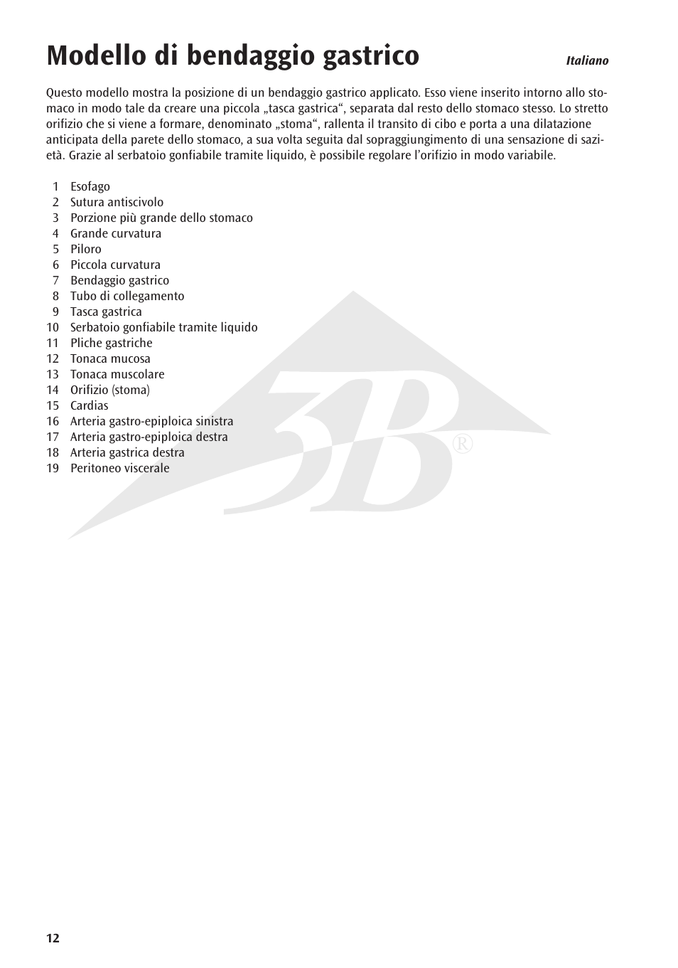 Modello di bendaggio gastrico | 3B Scientific Gastric Band Model User Manual | Page 12 / 16