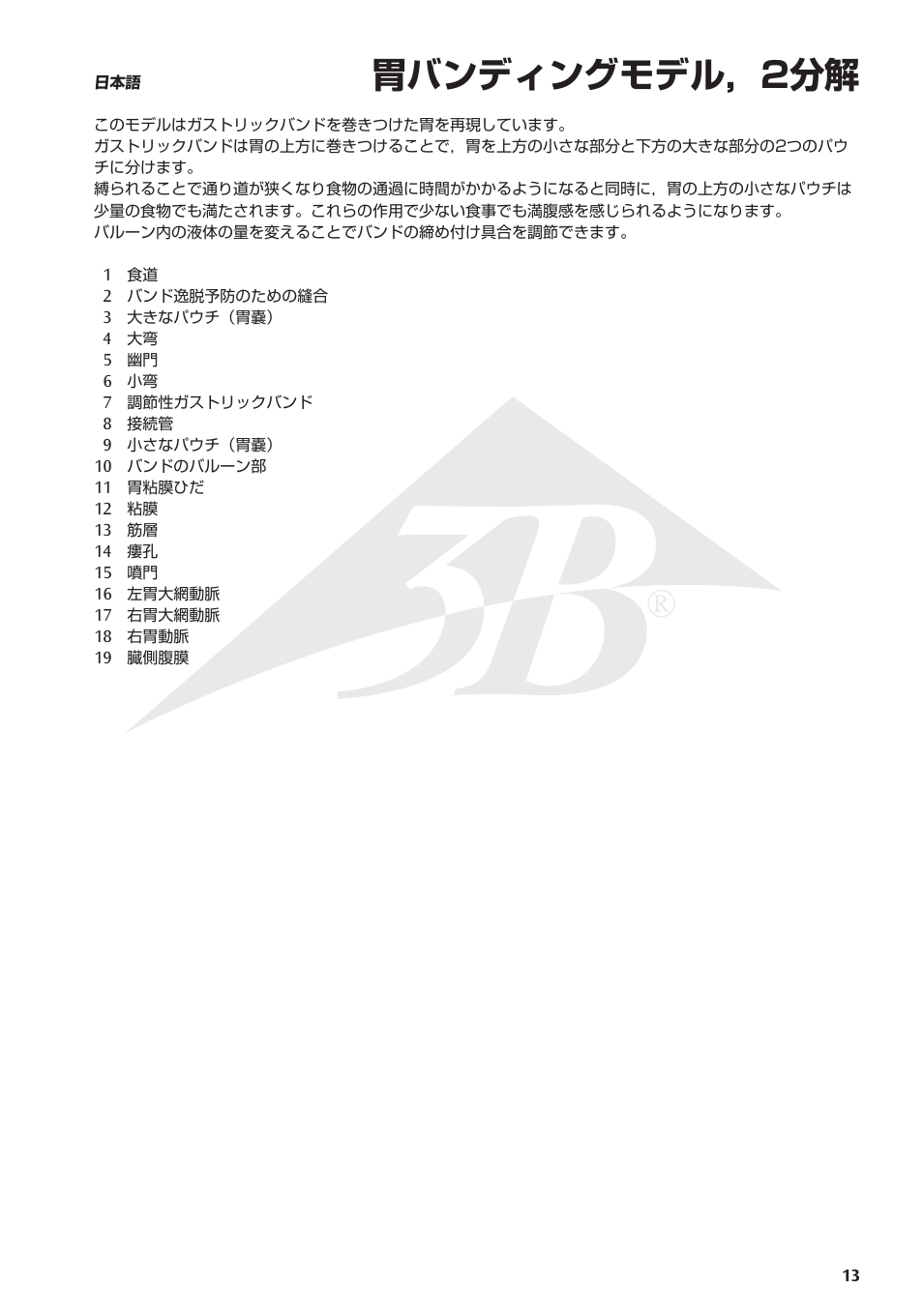 胃バンディングモデル，2分解 | 3B Scientific Gastric Band Model User Manual | Page 13 / 16