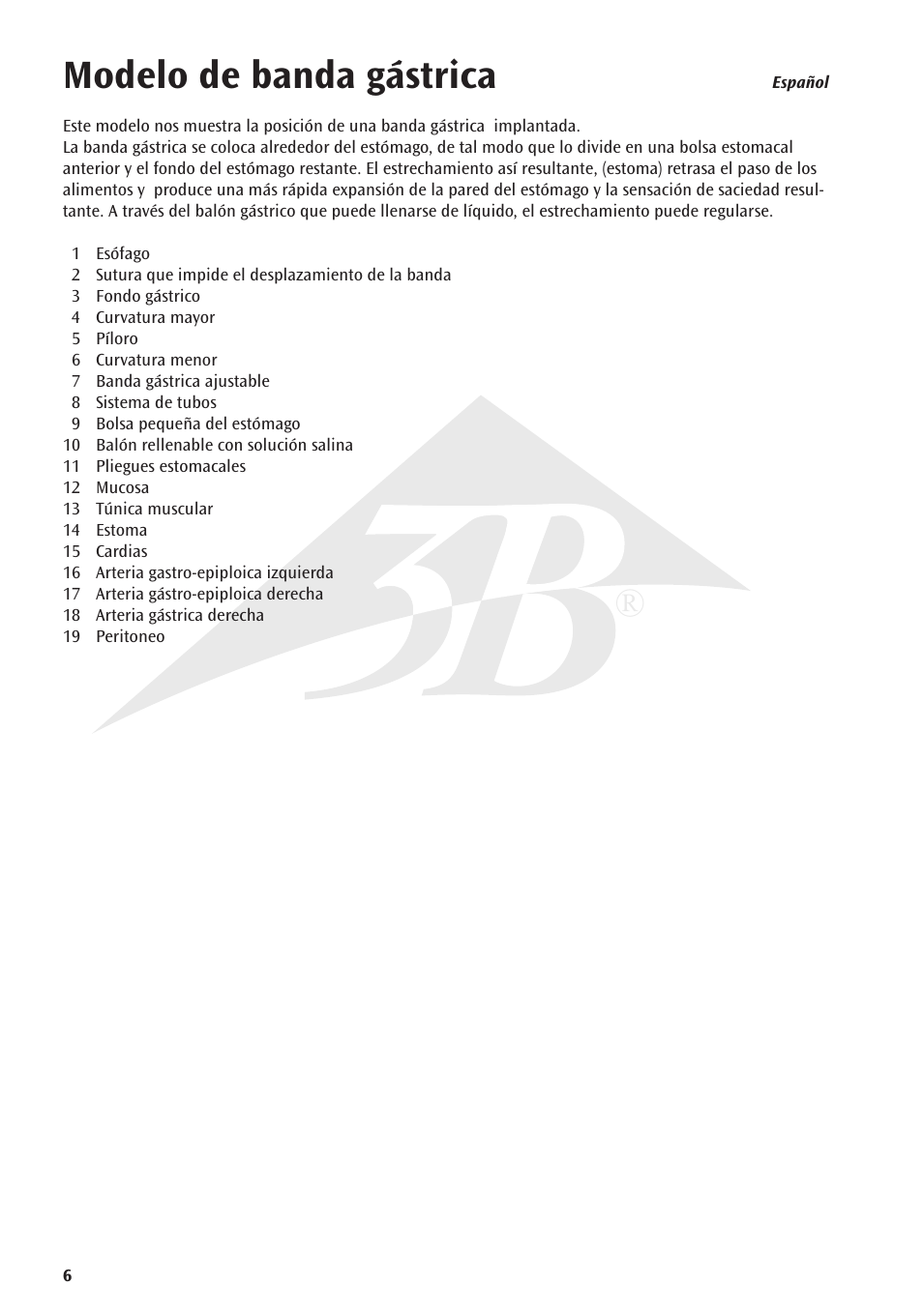 Modelo de banda gástrica | 3B Scientific Gastric Band Model User Manual | Page 6 / 16